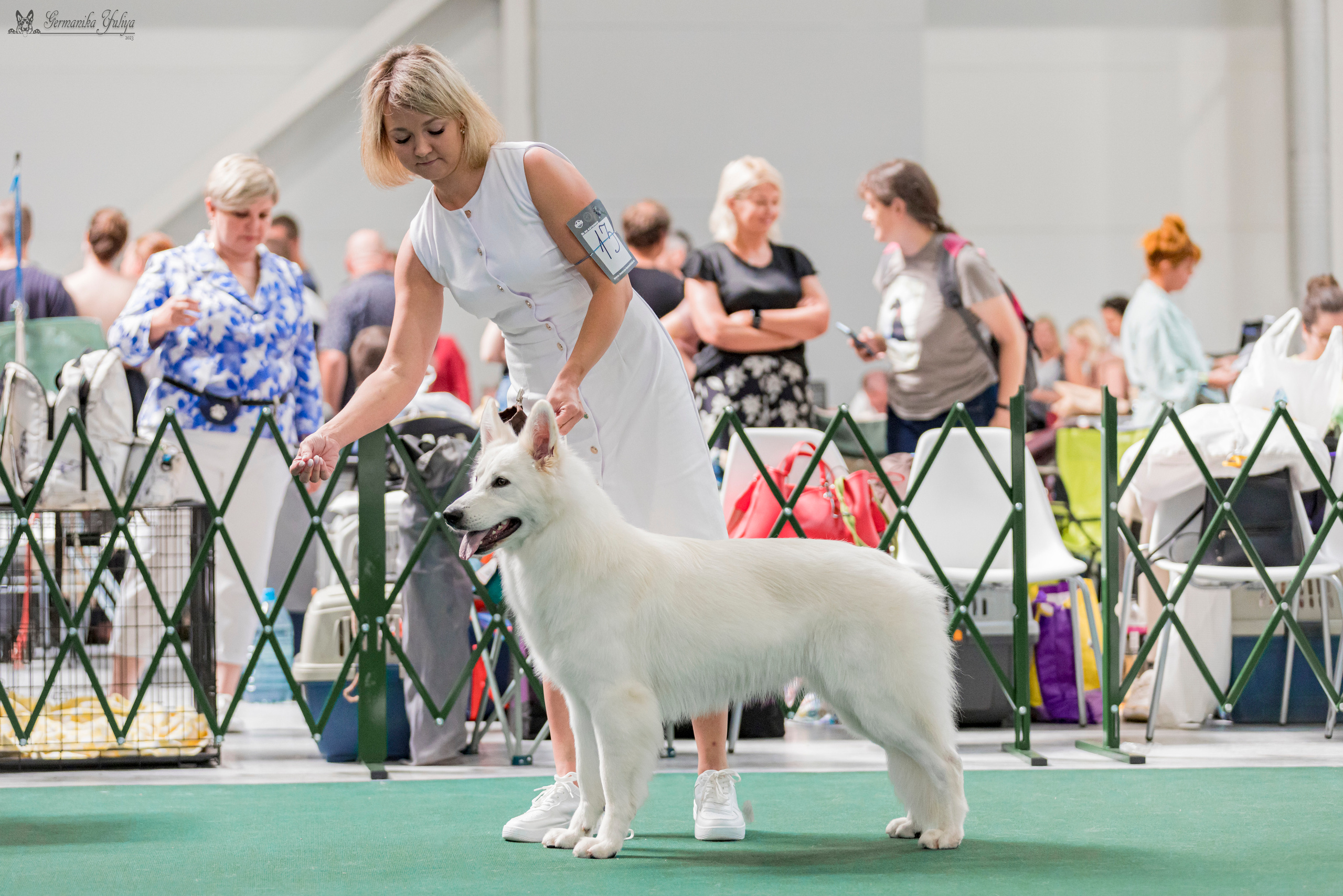 Крокус,Псков 5-6.08.2023. Фотограф-анималист Юлия Германика