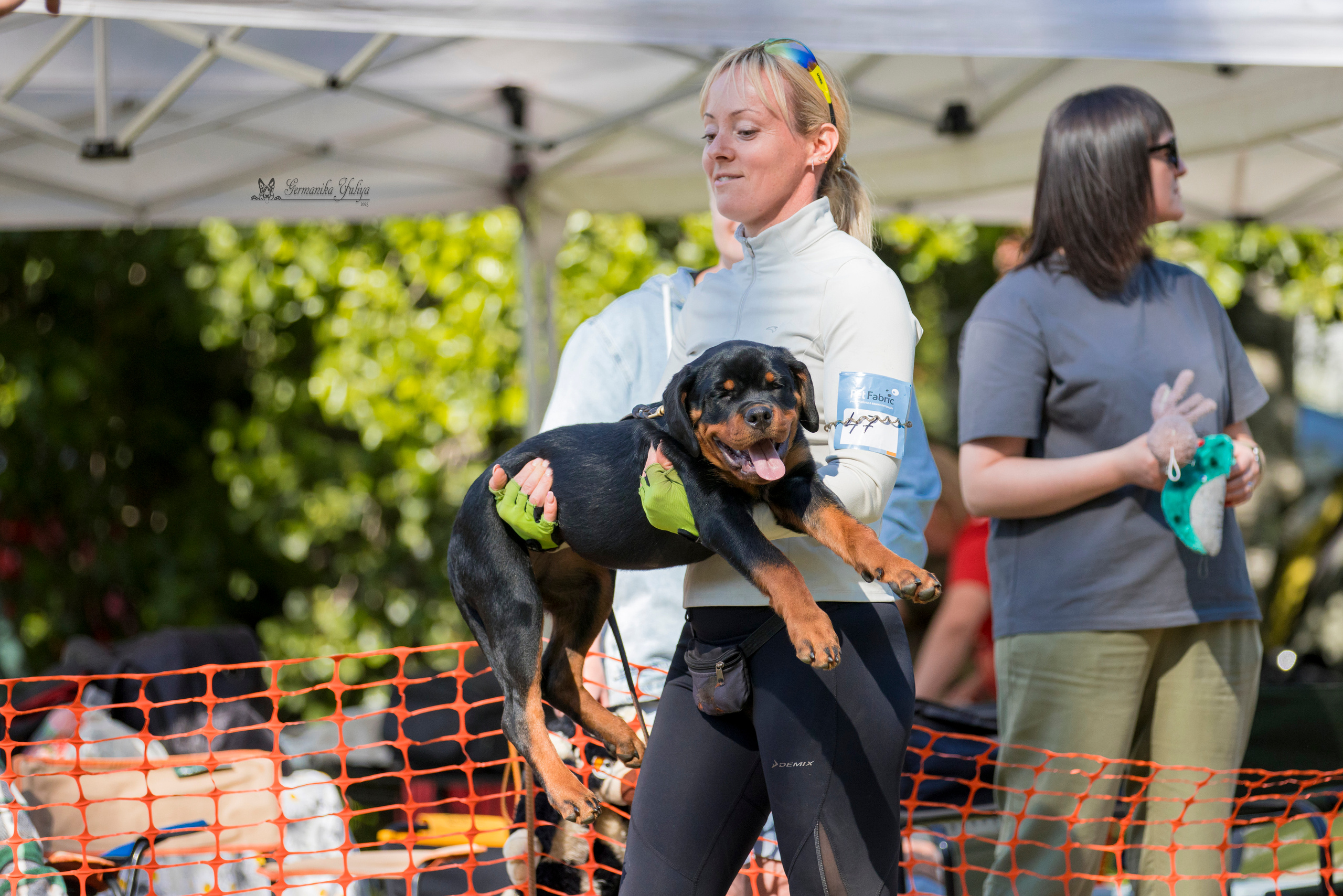 ПК и КЧК ротвейлеров Питер 22-23.07.2023. Фотограф-анималист Юлия Германика