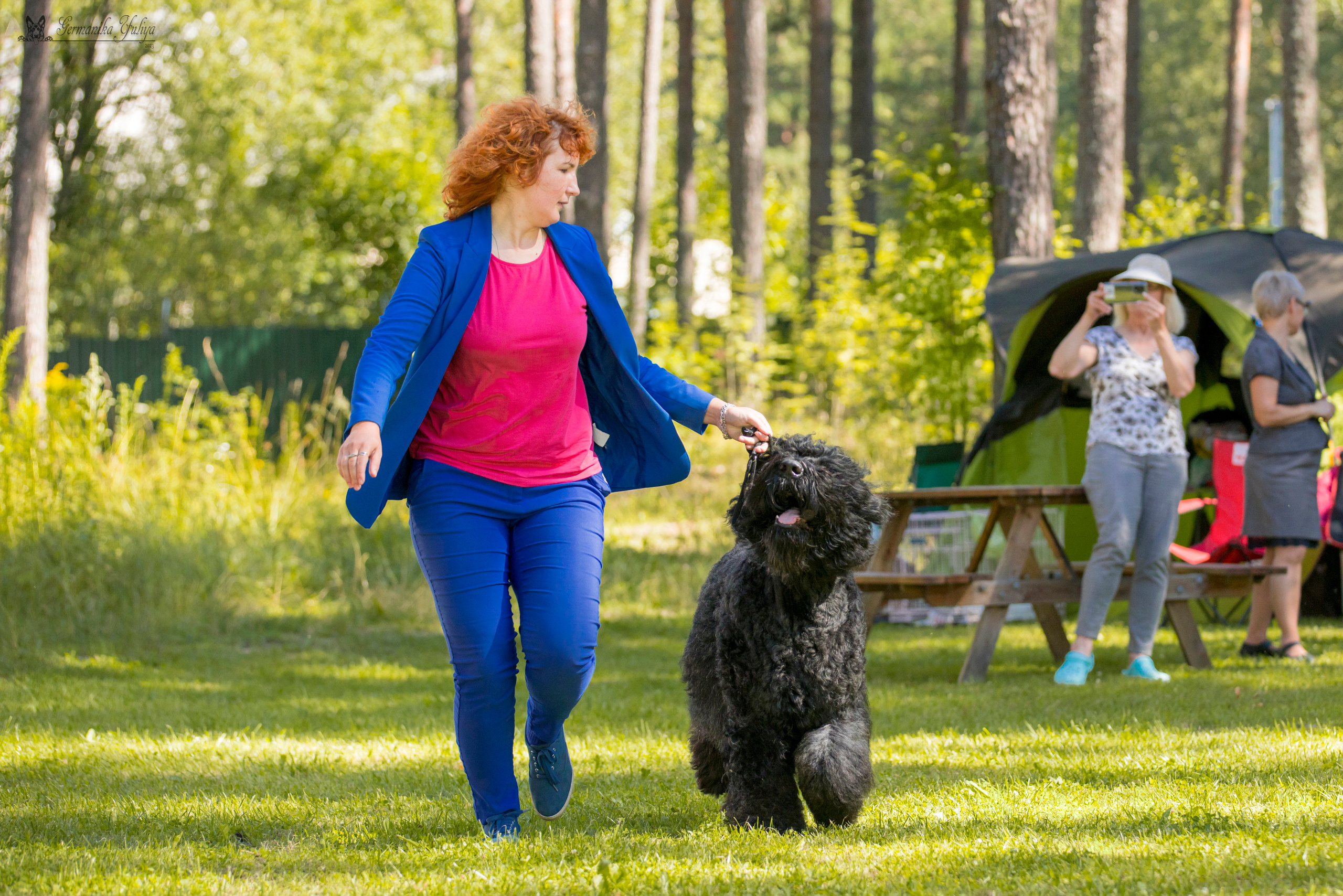Крокус,Псков 5-6.08.2023. Фотограф-анималист Юлия Германика