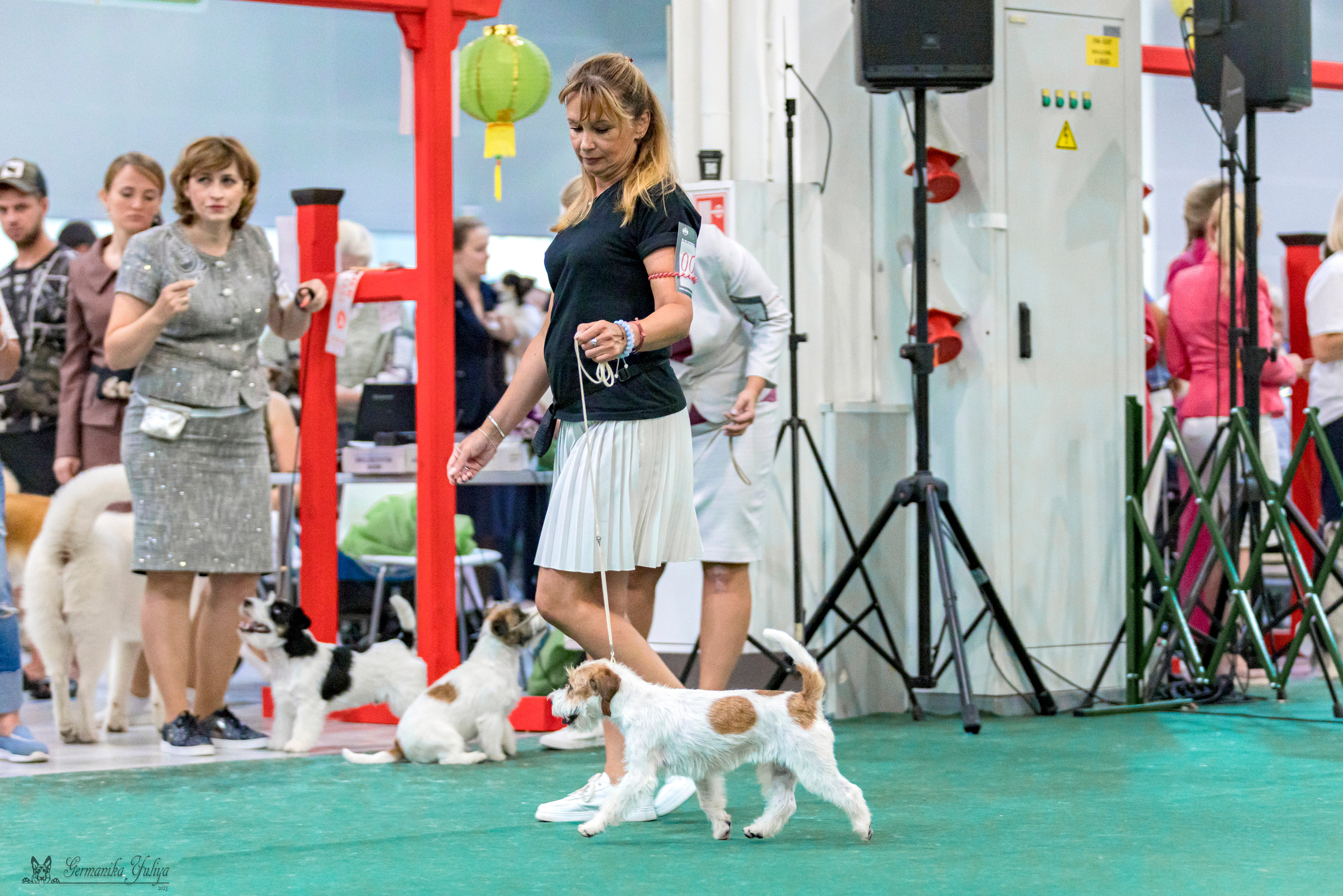 Крокус,Псков 5-6.08.2023. Фотограф-анималист Юлия Германика