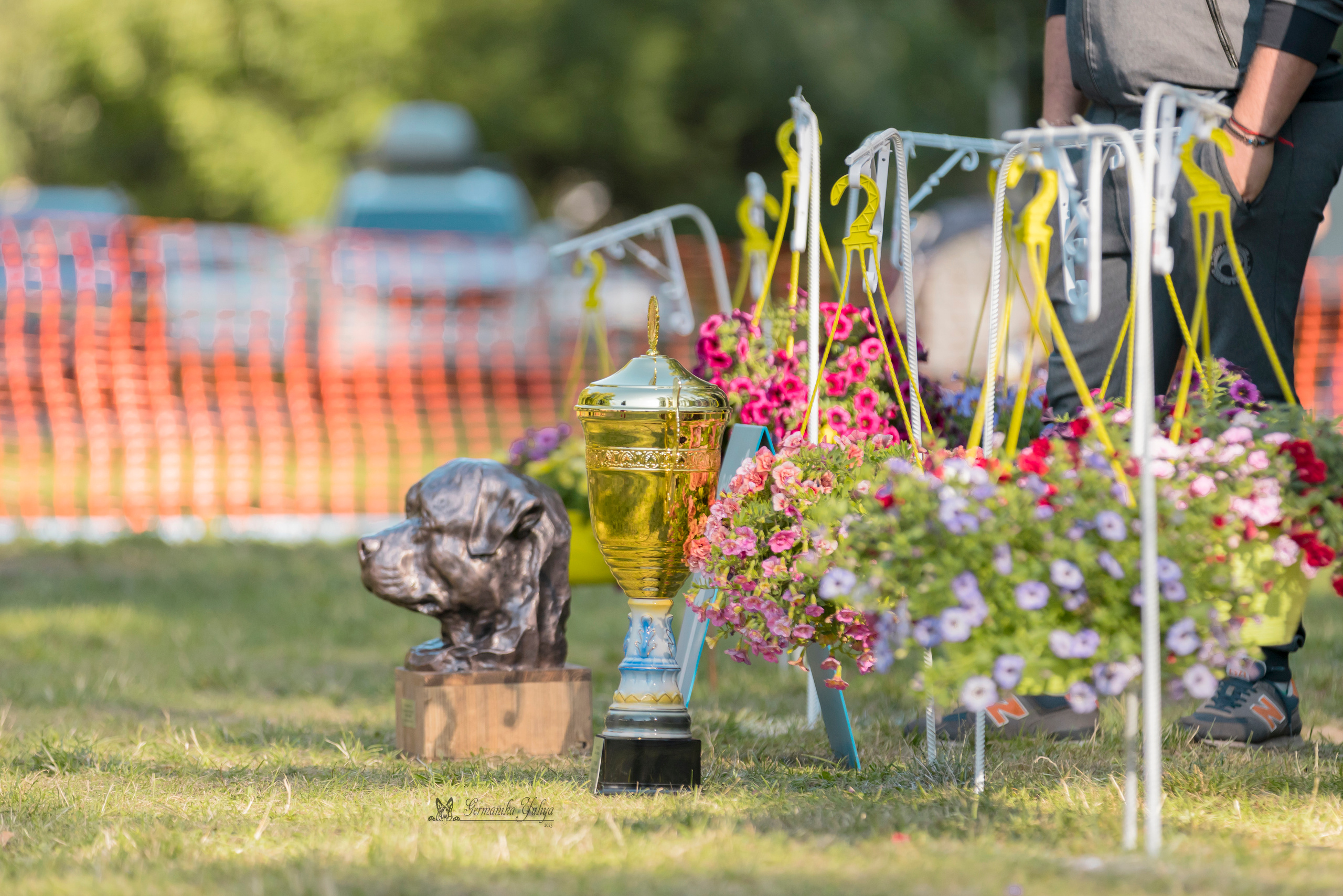 ПК и КЧК ротвейлеров Питер 22-23.07.2023. Фотограф-анималист Юлия Германика