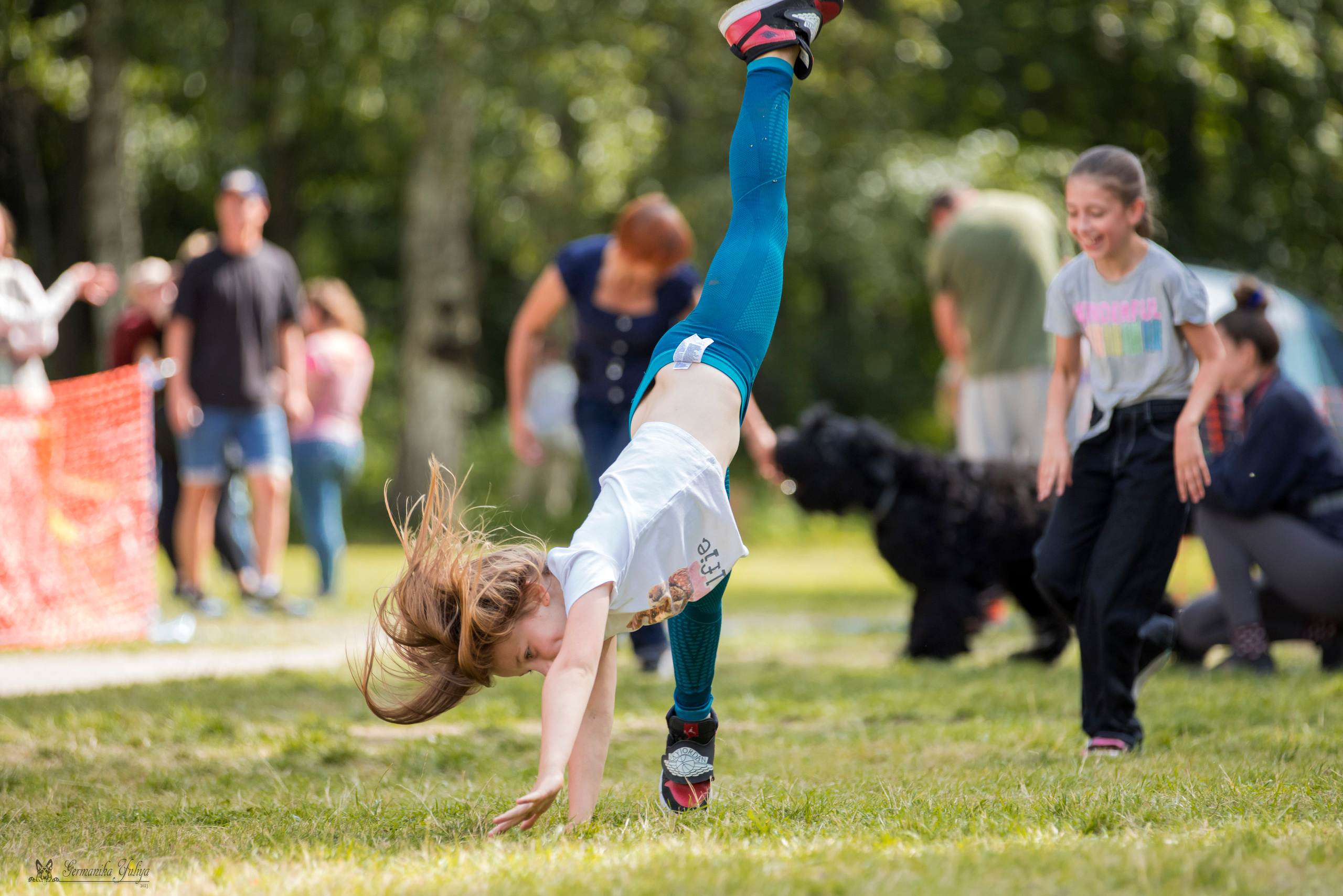 ПК и КЧК ротвейлеров Питер 22-23.07.2023. Фотограф-анималист Юлия Германика