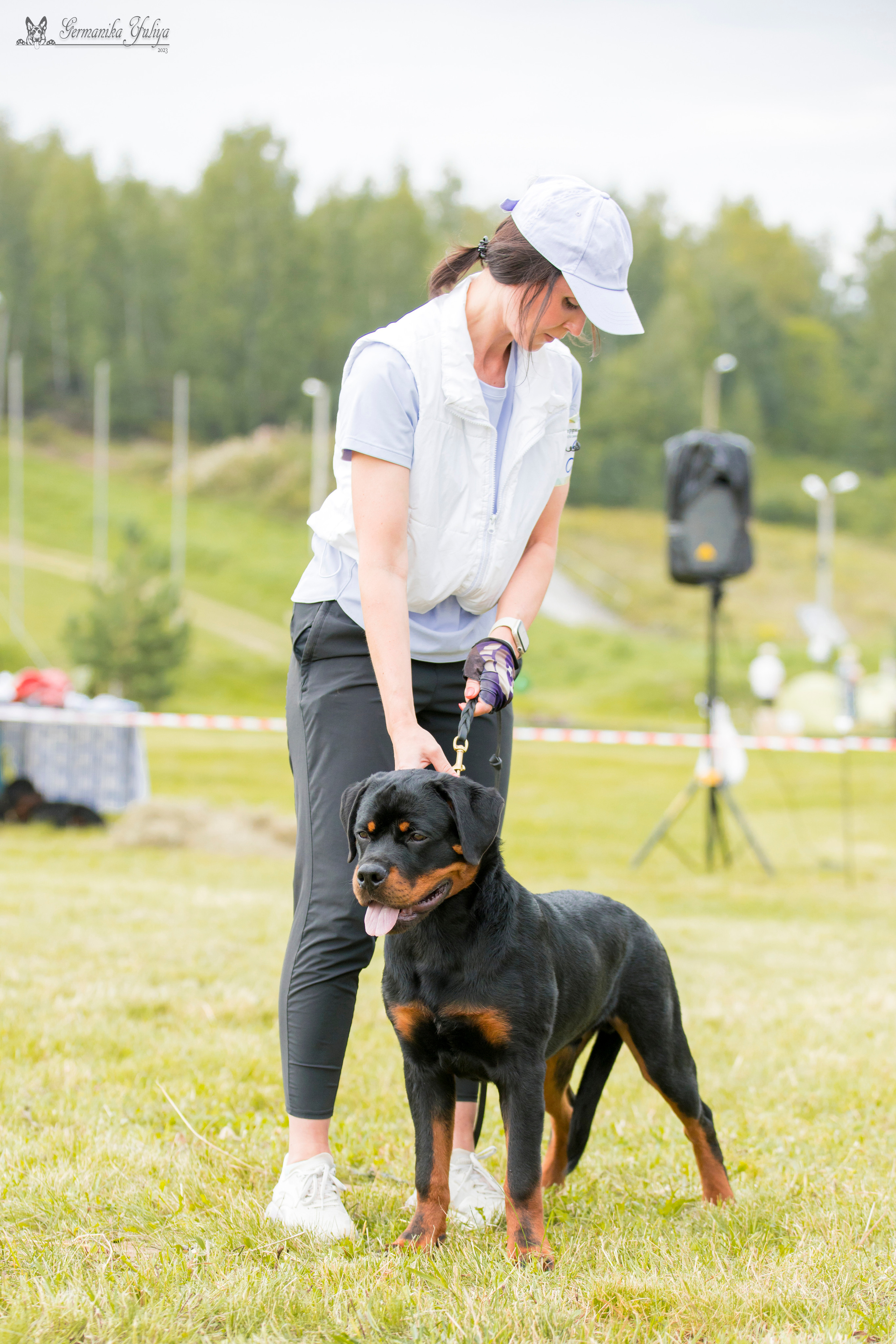 Рязань моно ротвейлеров 12.08.2023. Фотограф-анималист Юлия Германика