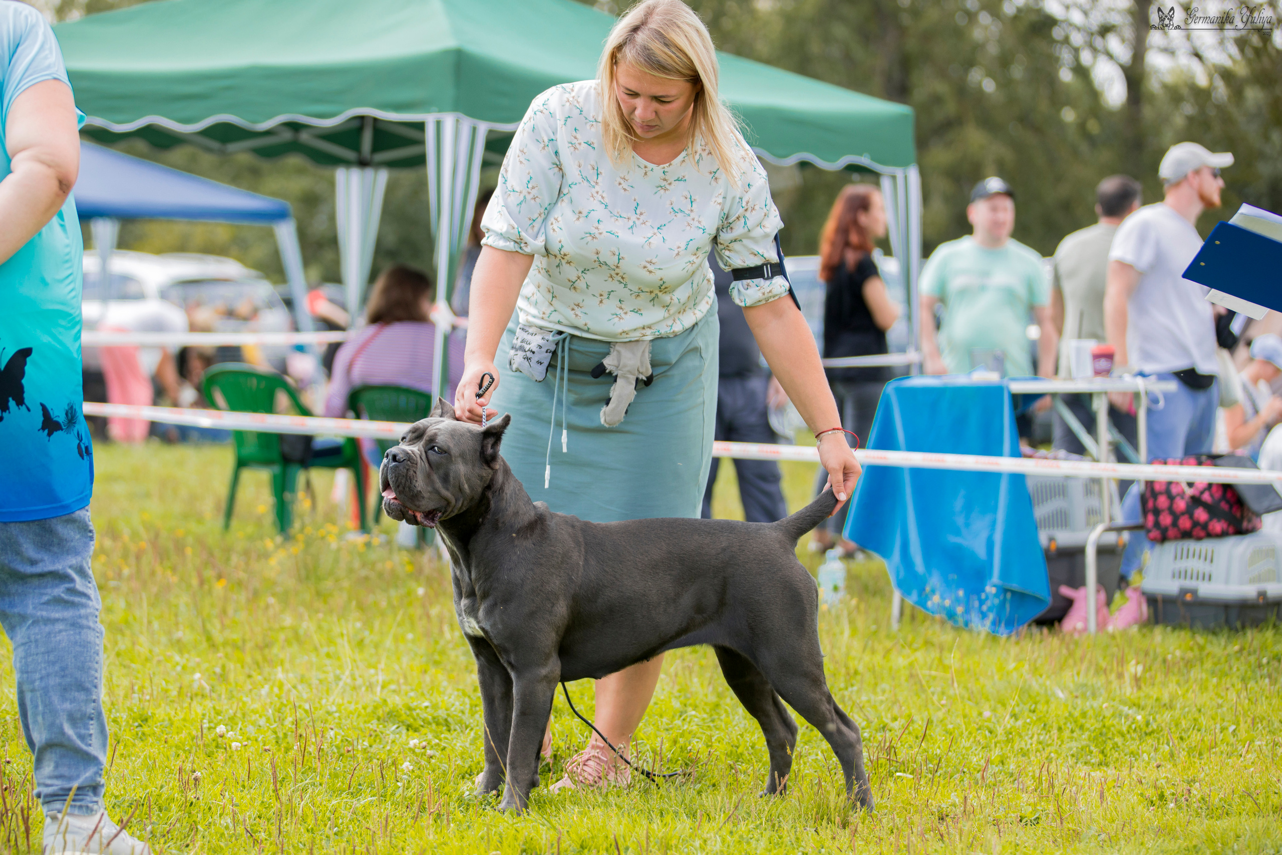 Рязань 12.08.и Пушкино 19.08.2023. Фотограф-анималист Юлия Германика