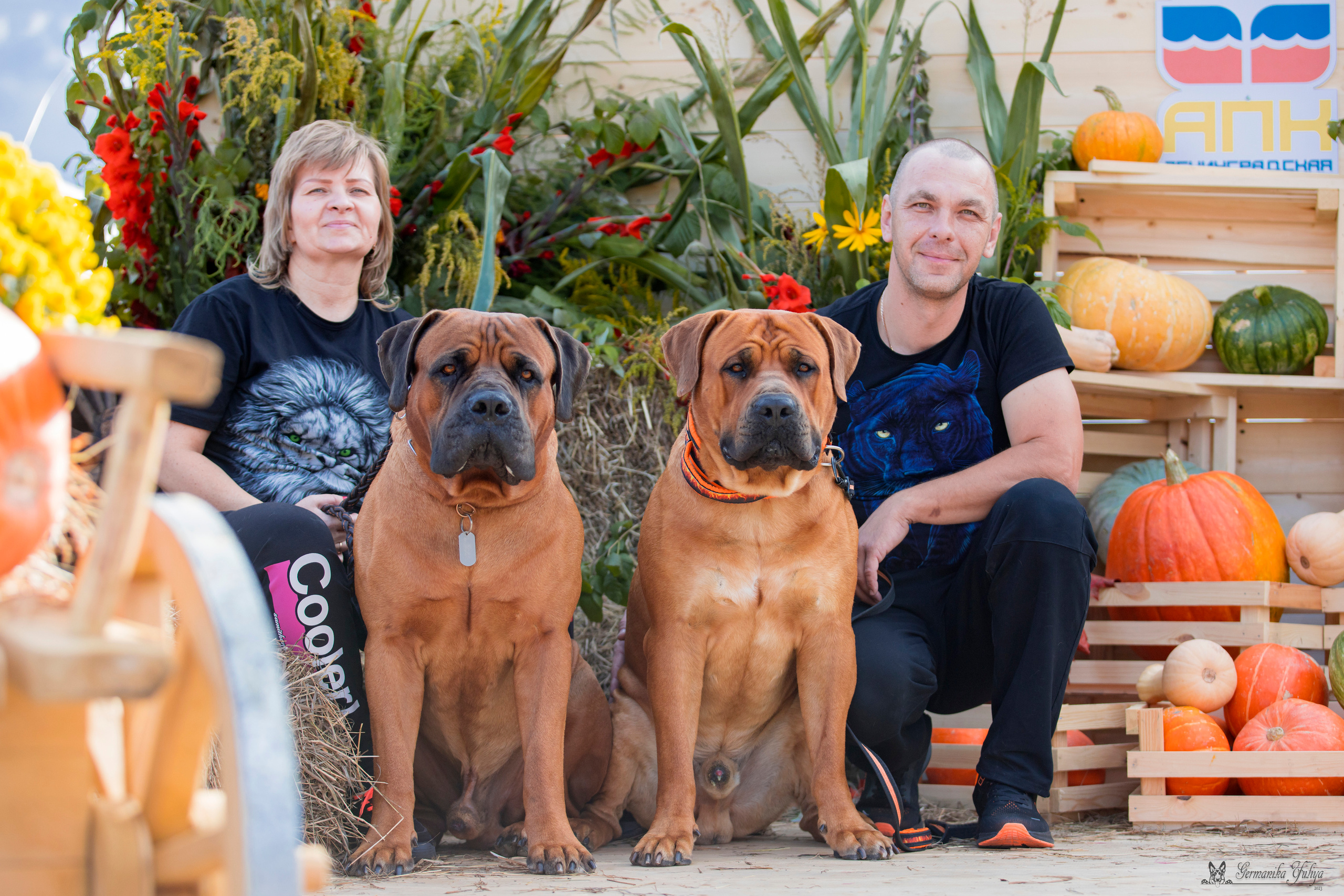 Питер 2-3.09.2023. Фотограф-анималист Юлия Германика