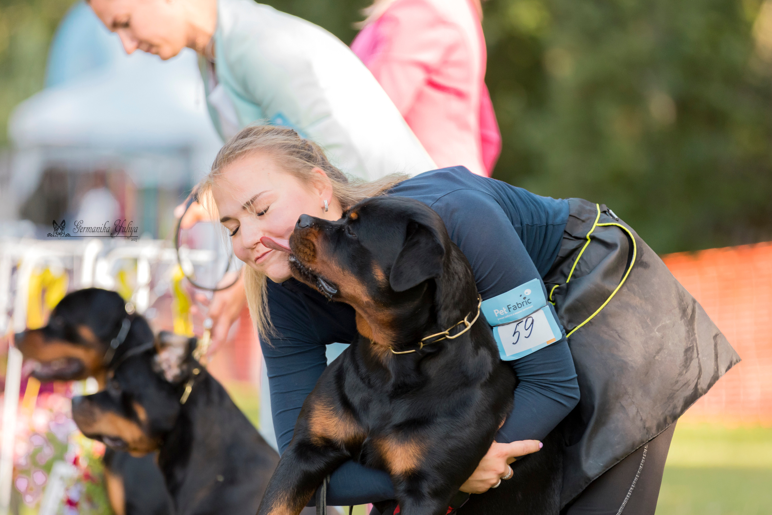 ПК и КЧК ротвейлеров Питер 22-23.07.2023. Фотограф-анималист Юлия Германика