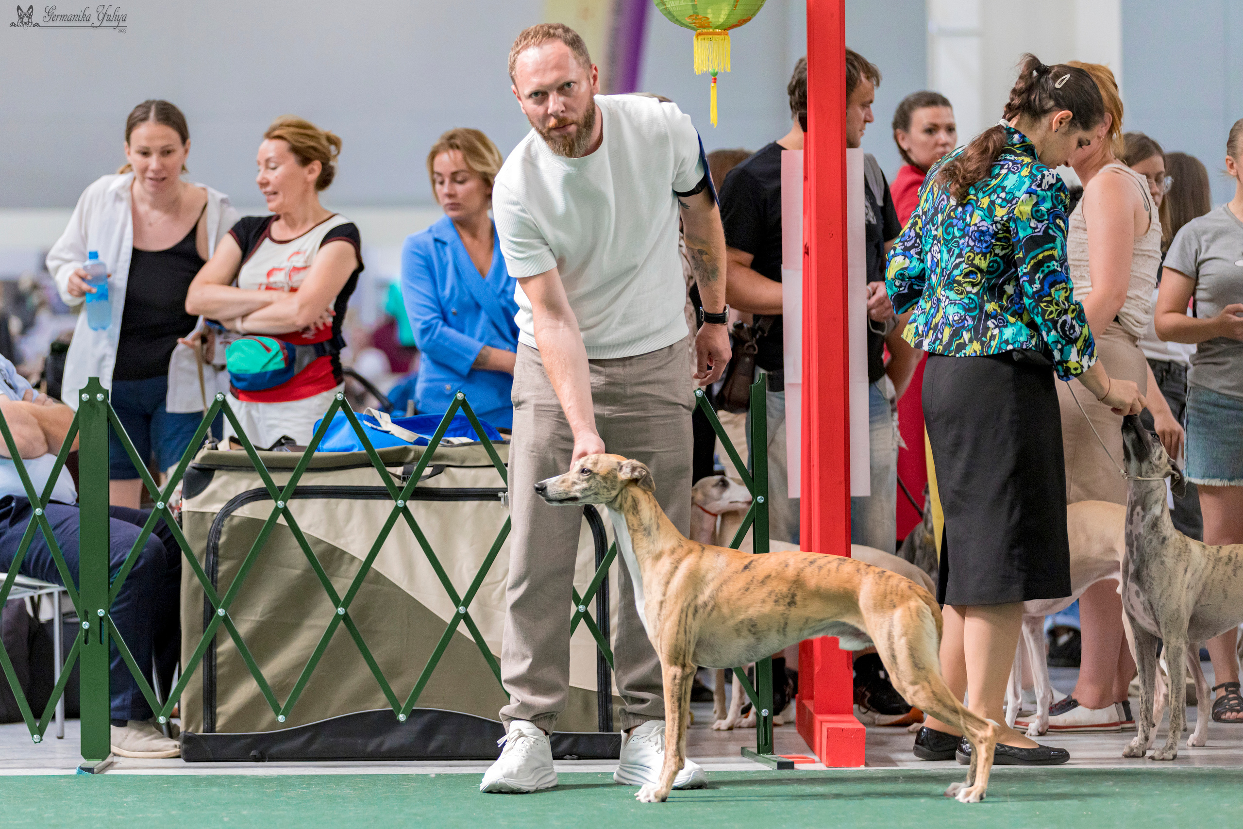 Крокус,Псков 5-6.08.2023. Фотограф-анималист Юлия Германика