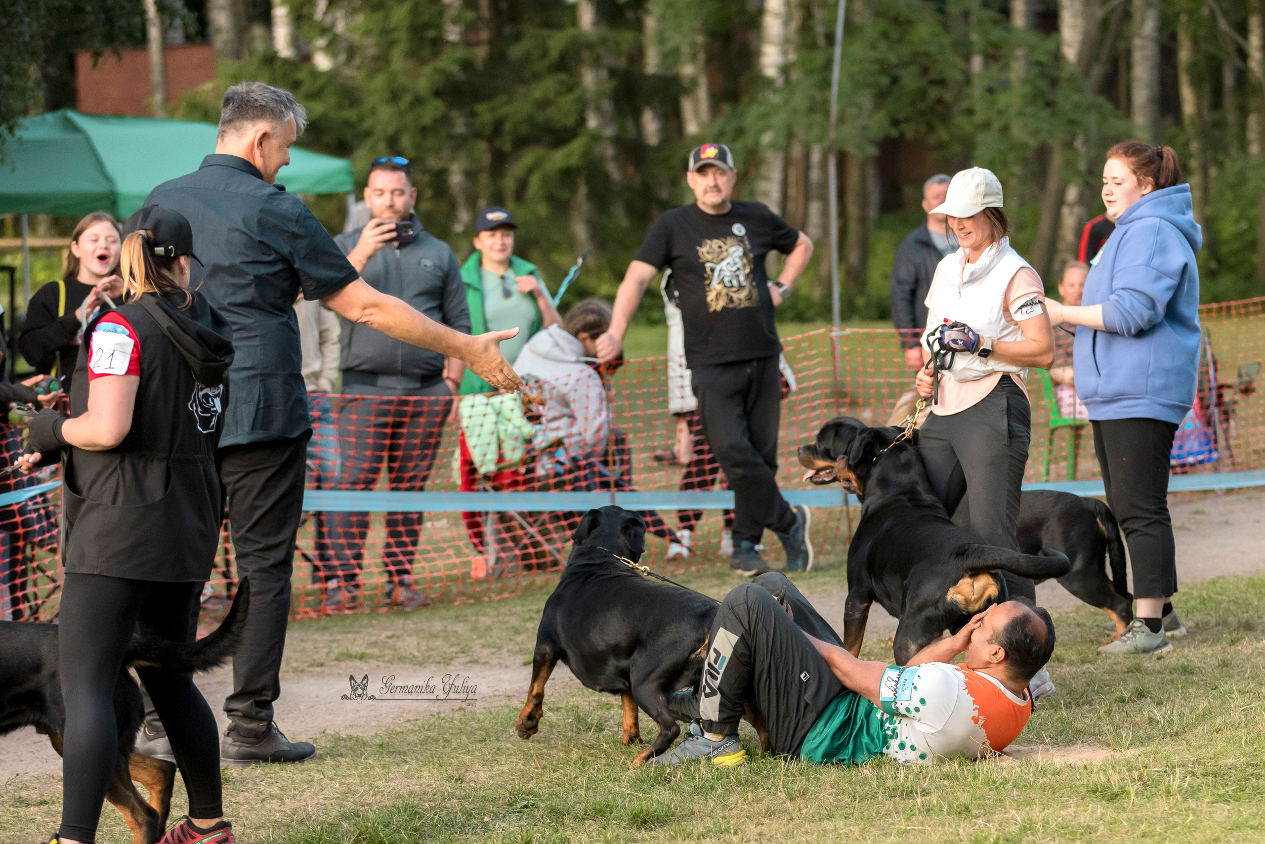 ПК и КЧК ротвейлеров Питер 22-23.07.2023. Фотограф-анималист Юлия Германика
