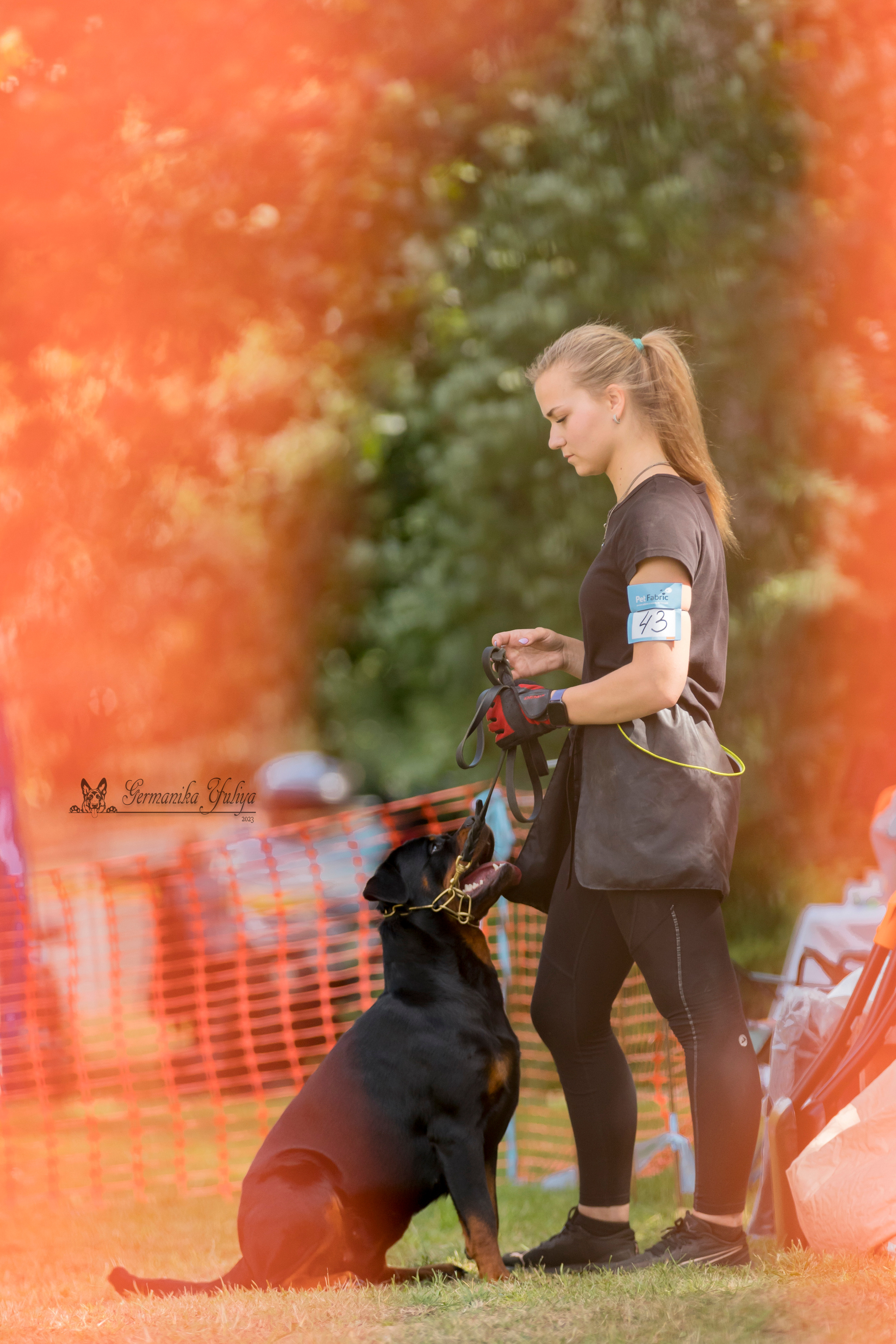 ПК и КЧК ротвейлеров Питер 22-23.07.2023. Фотограф-анималист Юлия Германика