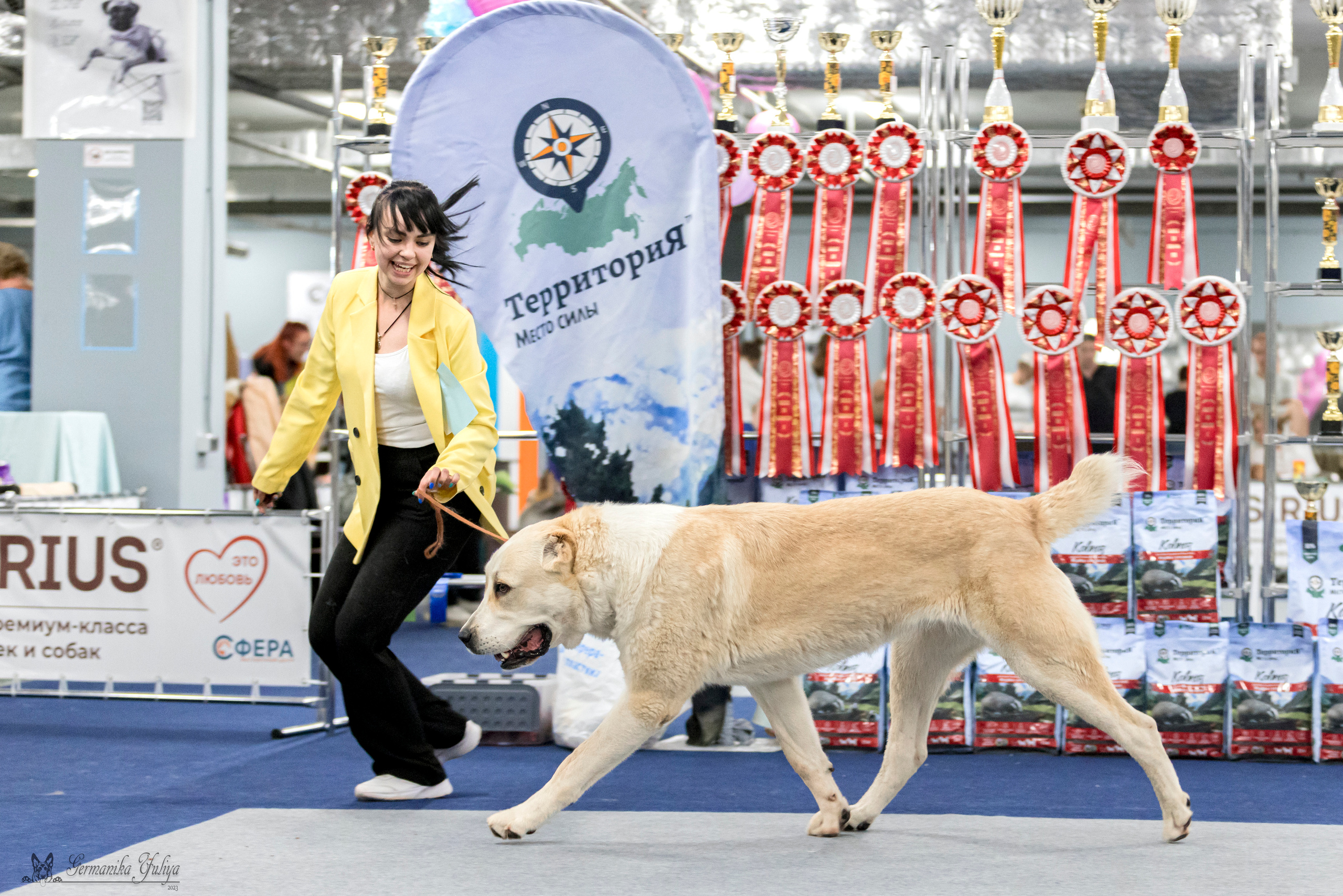 Сфера-Ховрино 29-30.07.2023. Фотограф-анималист Юлия Германика