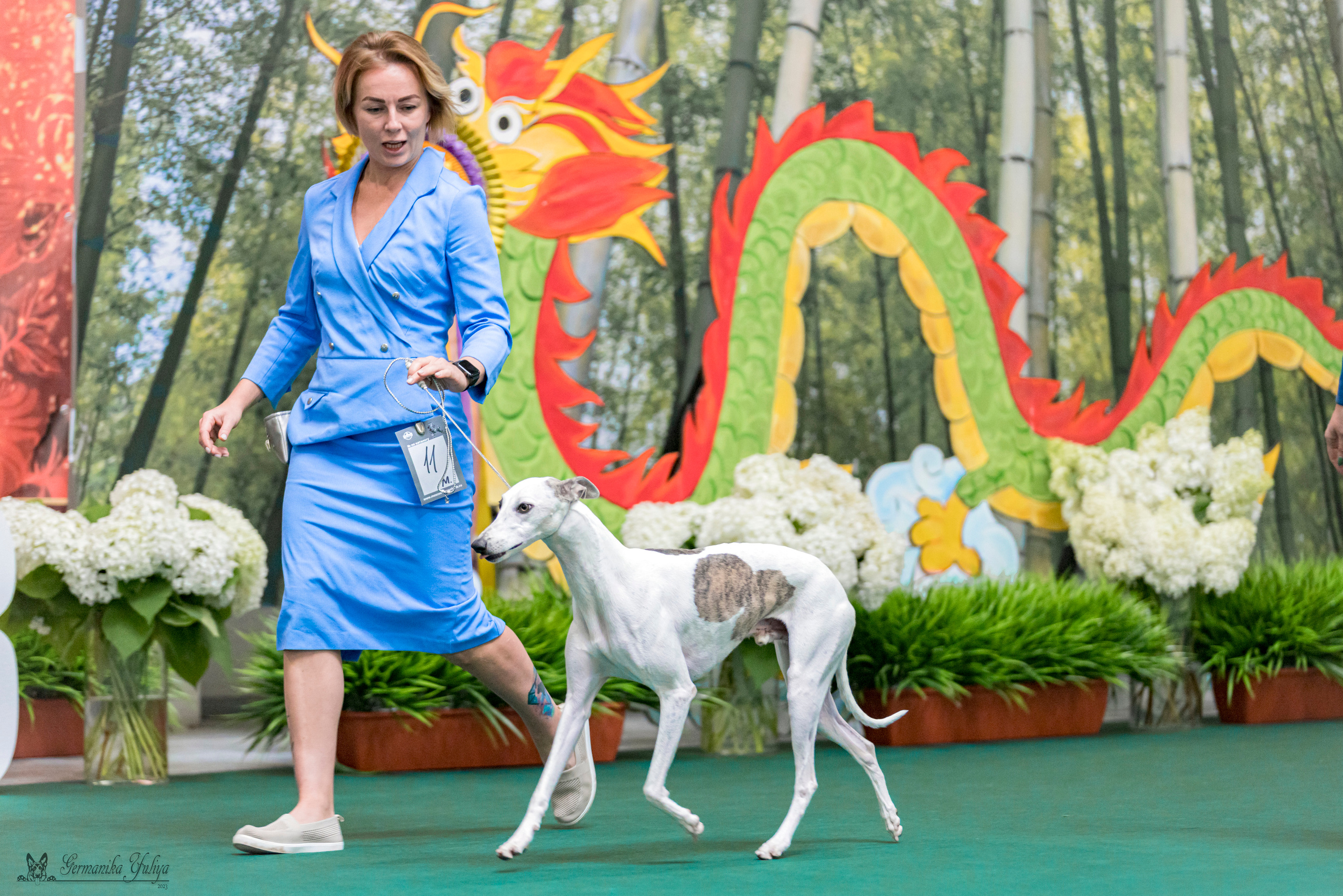 Крокус,Псков 5-6.08.2023. Фотограф-анималист Юлия Германика