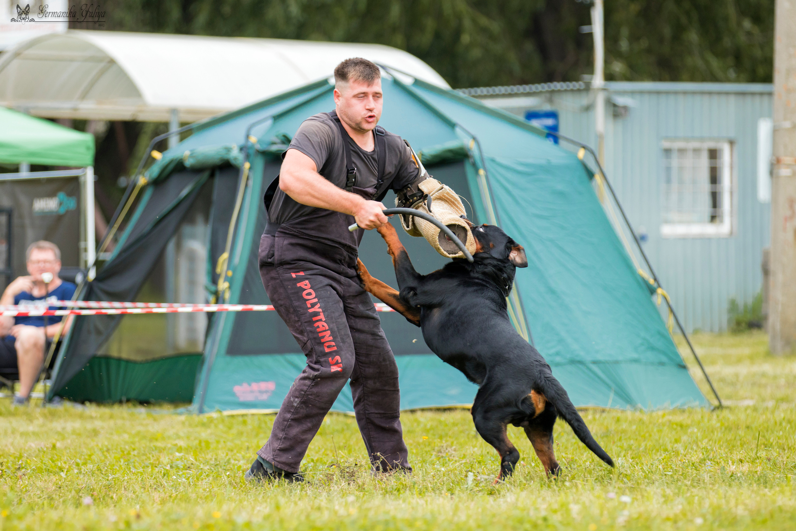Рязань моно ротвейлеров 12.08.2023. Фотограф-анималист Юлия Германика