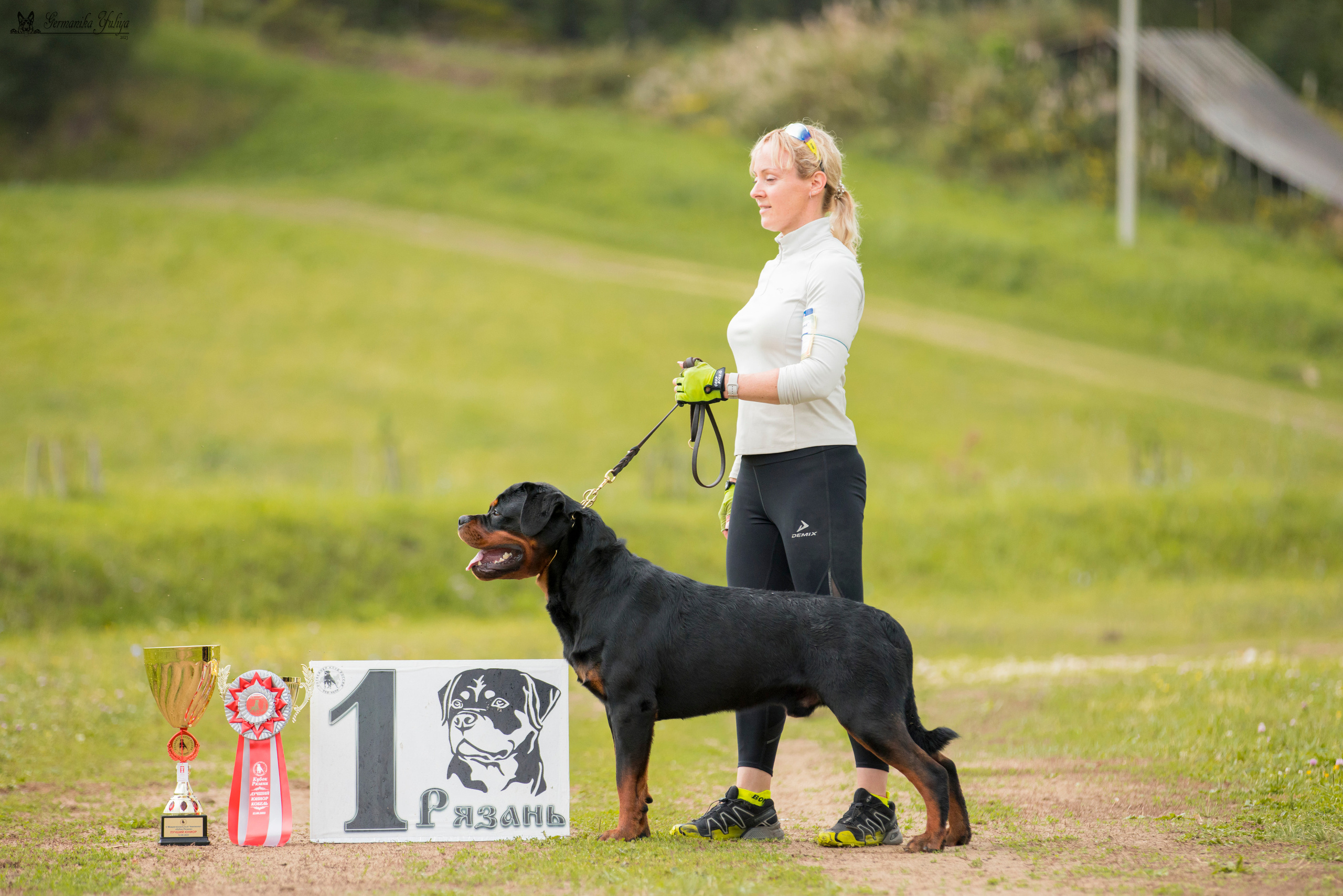 Рязань моно ротвейлеров 12.08.2023. Фотограф-анималист Юлия Германика