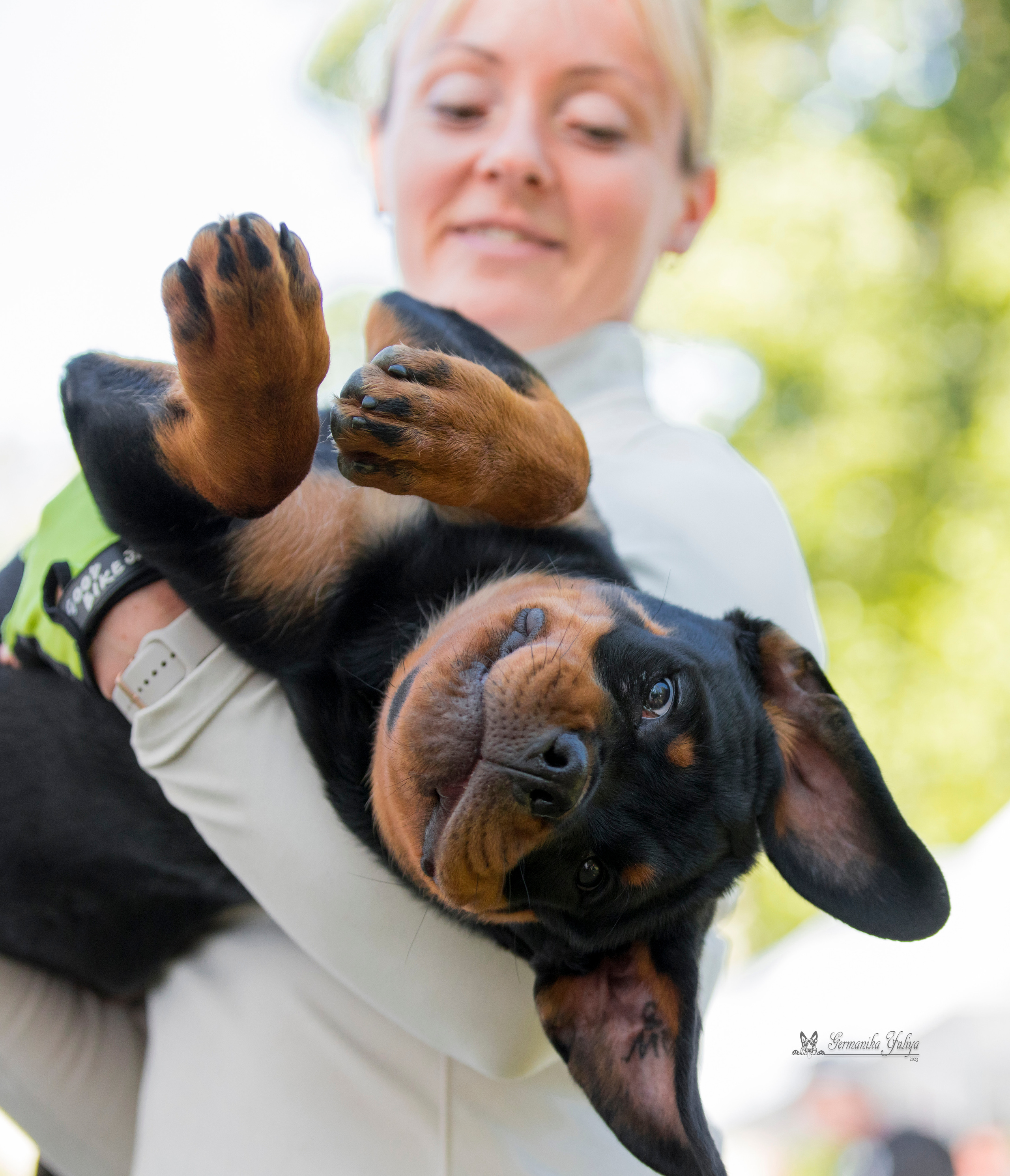 ПК и КЧК ротвейлеров Питер 22-23.07.2023. Фотограф-анималист Юлия Германика