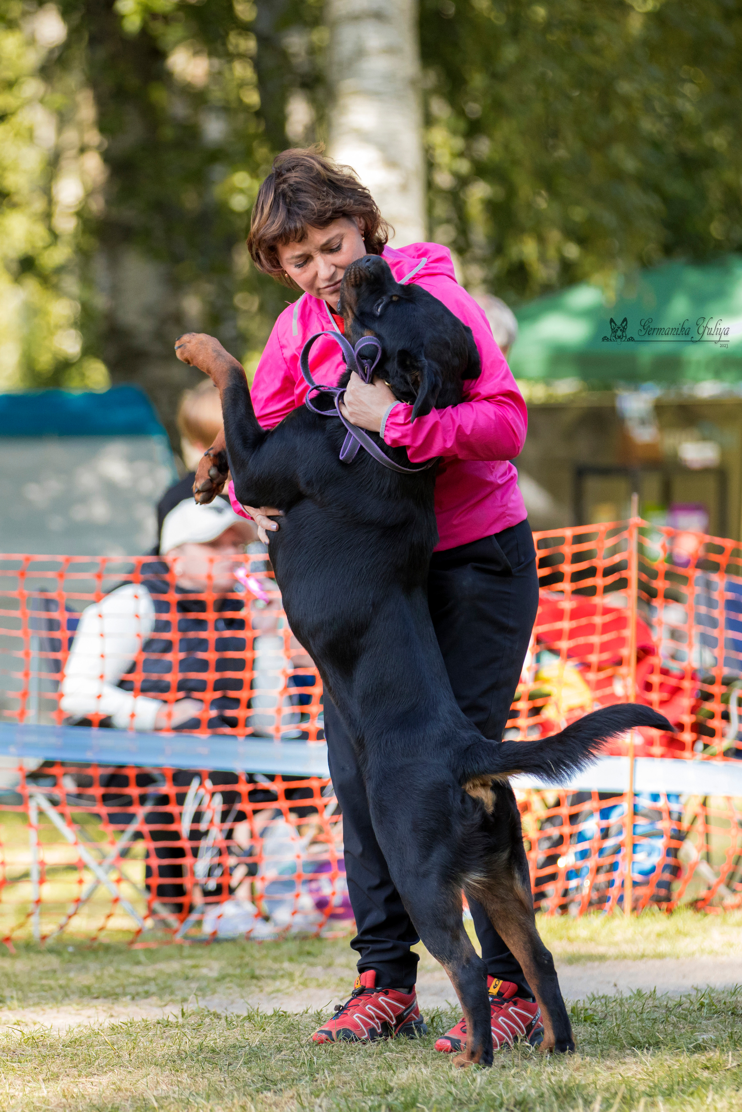 ПК и КЧК ротвейлеров Питер 22-23.07.2023. Фотограф-анималист Юлия Германика