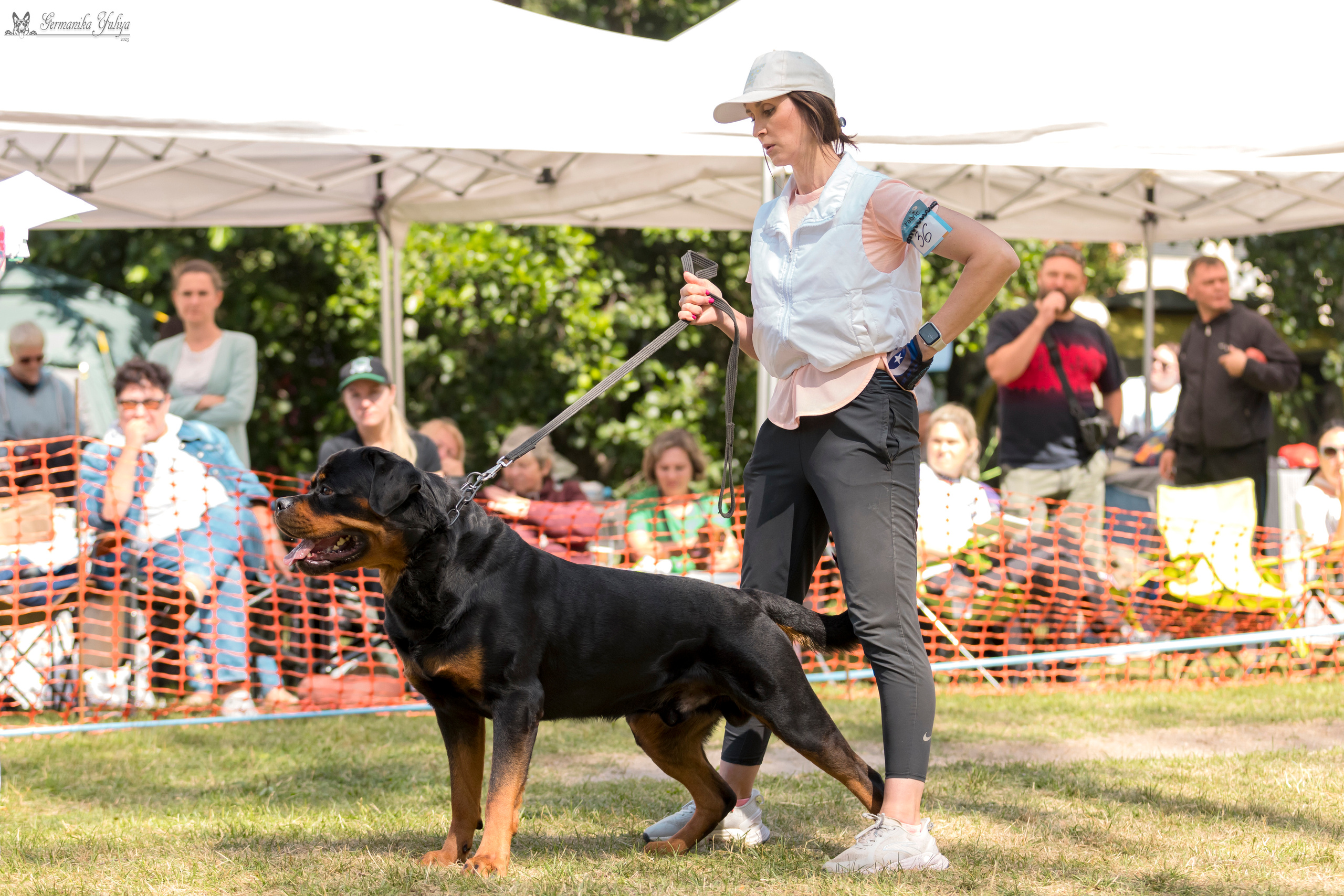 ПК и КЧК ротвейлеров Питер 22-23.07.2023. Фотограф-анималист Юлия Германика