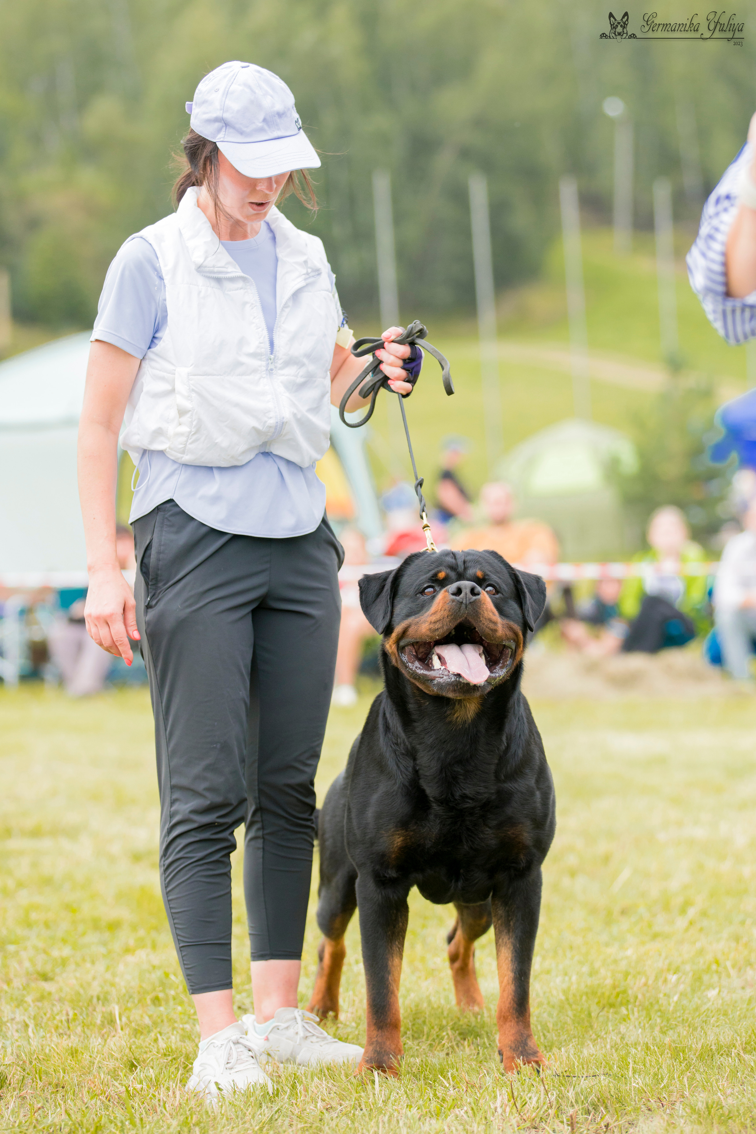 Рязань моно ротвейлеров 12.08.2023. Фотограф-анималист Юлия Германика