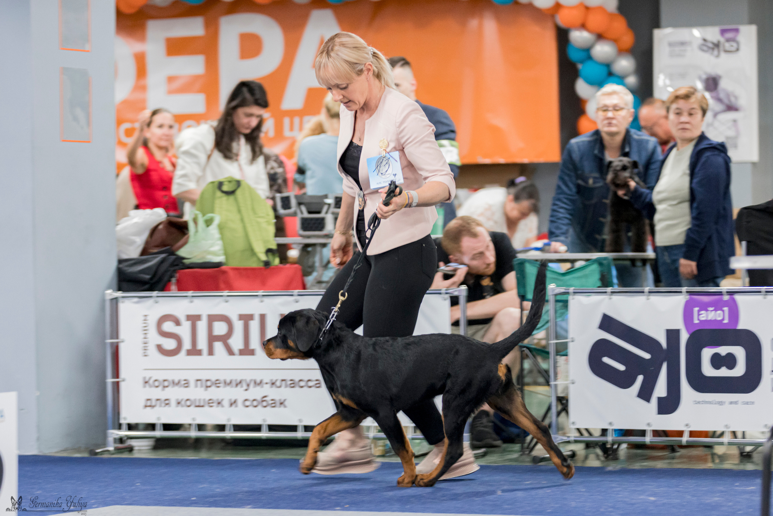 Сфера-Ховрино 29-30.07.2023. Фотограф-анималист Юлия Германика