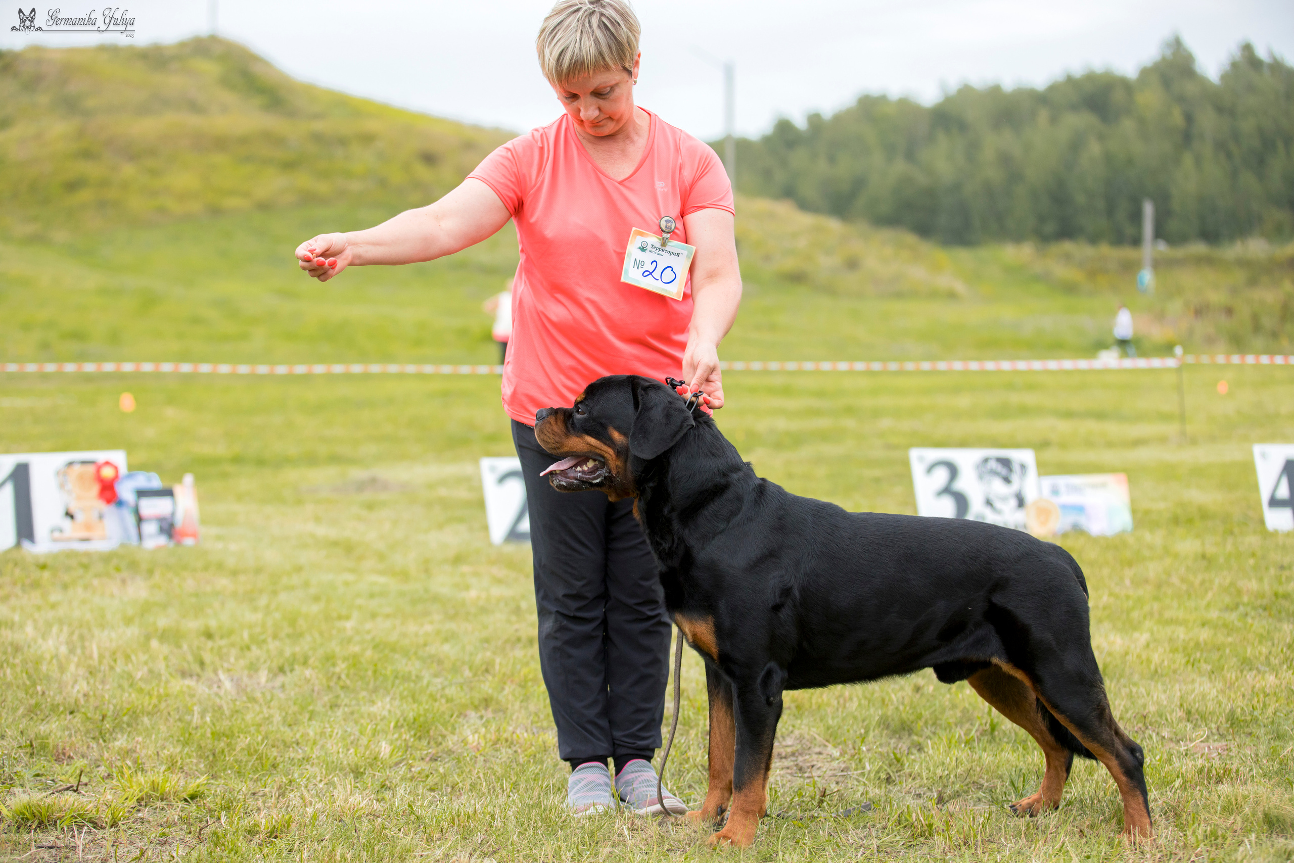 Рязань моно ротвейлеров 12.08.2023. Фотограф-анималист Юлия Германика