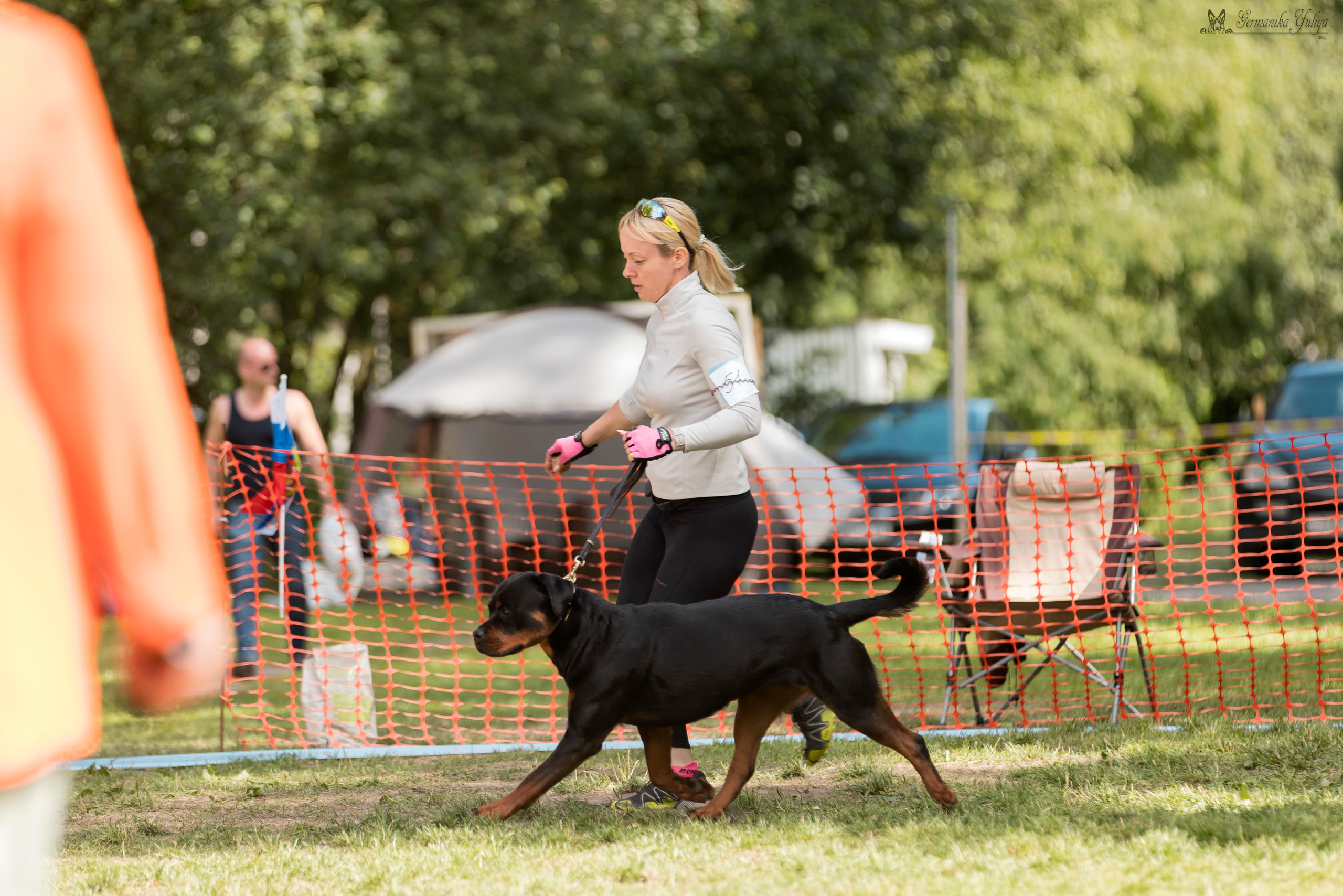 ПК и КЧК ротвейлеров Питер 22-23.07.2023. Фотограф-анималист Юлия Германика