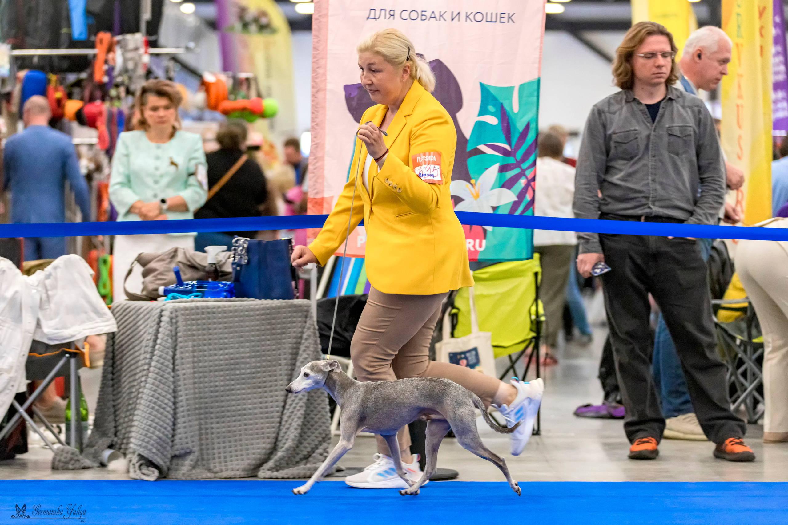 Питер 2-3.09.2023. Фотограф-анималист Юлия Германика