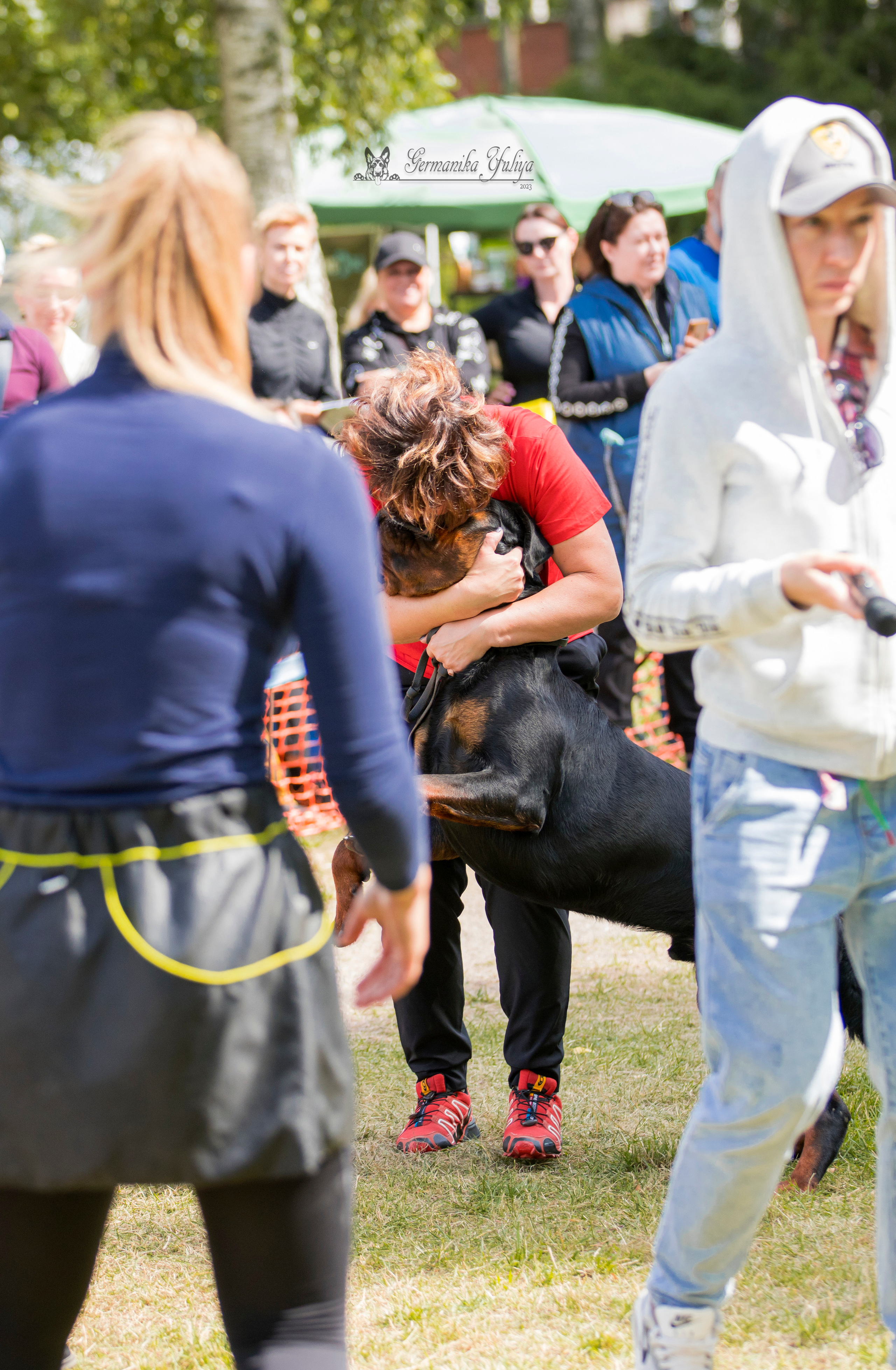 ПК и КЧК ротвейлеров Питер 22-23.07.2023. Фотограф-анималист Юлия Германика