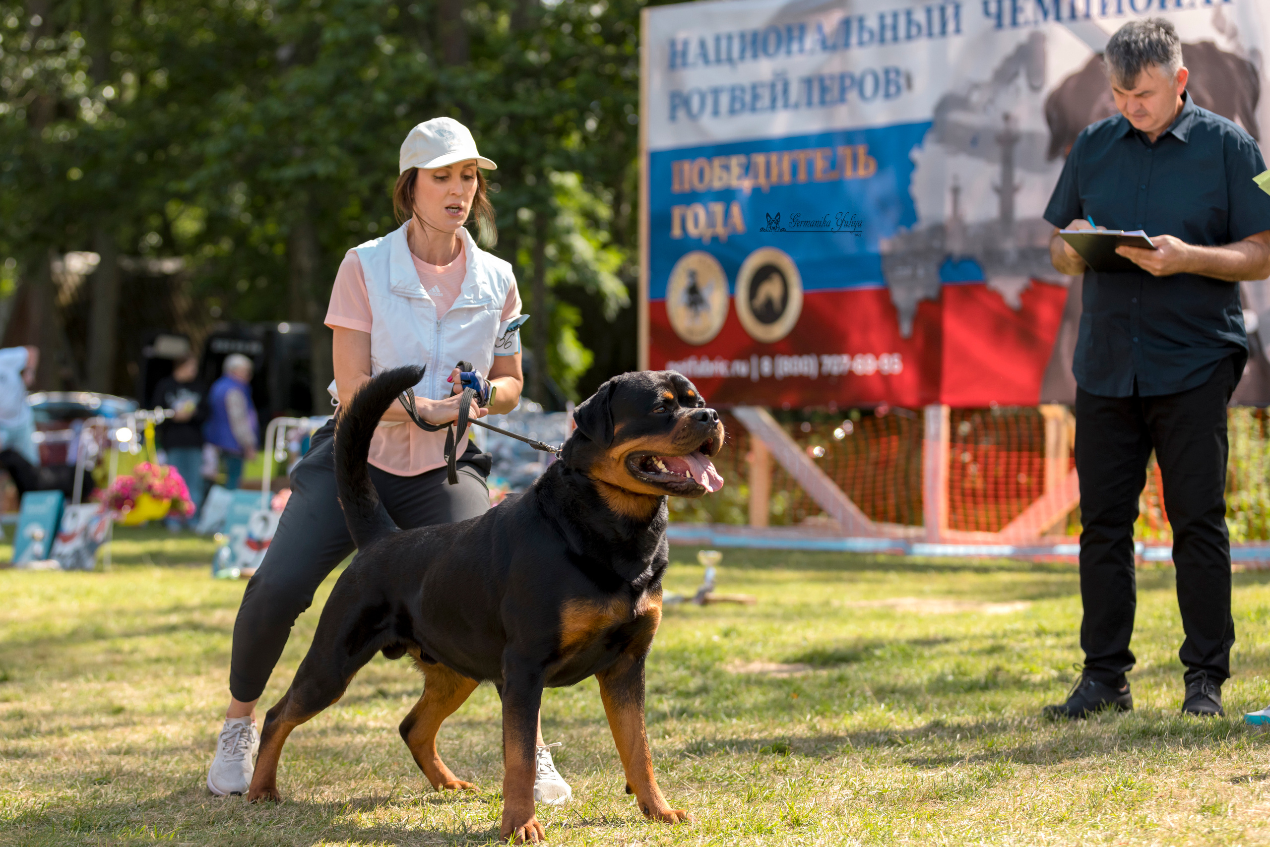 ПК и КЧК ротвейлеров Питер 22-23.07.2023. Фотограф-анималист Юлия Германика