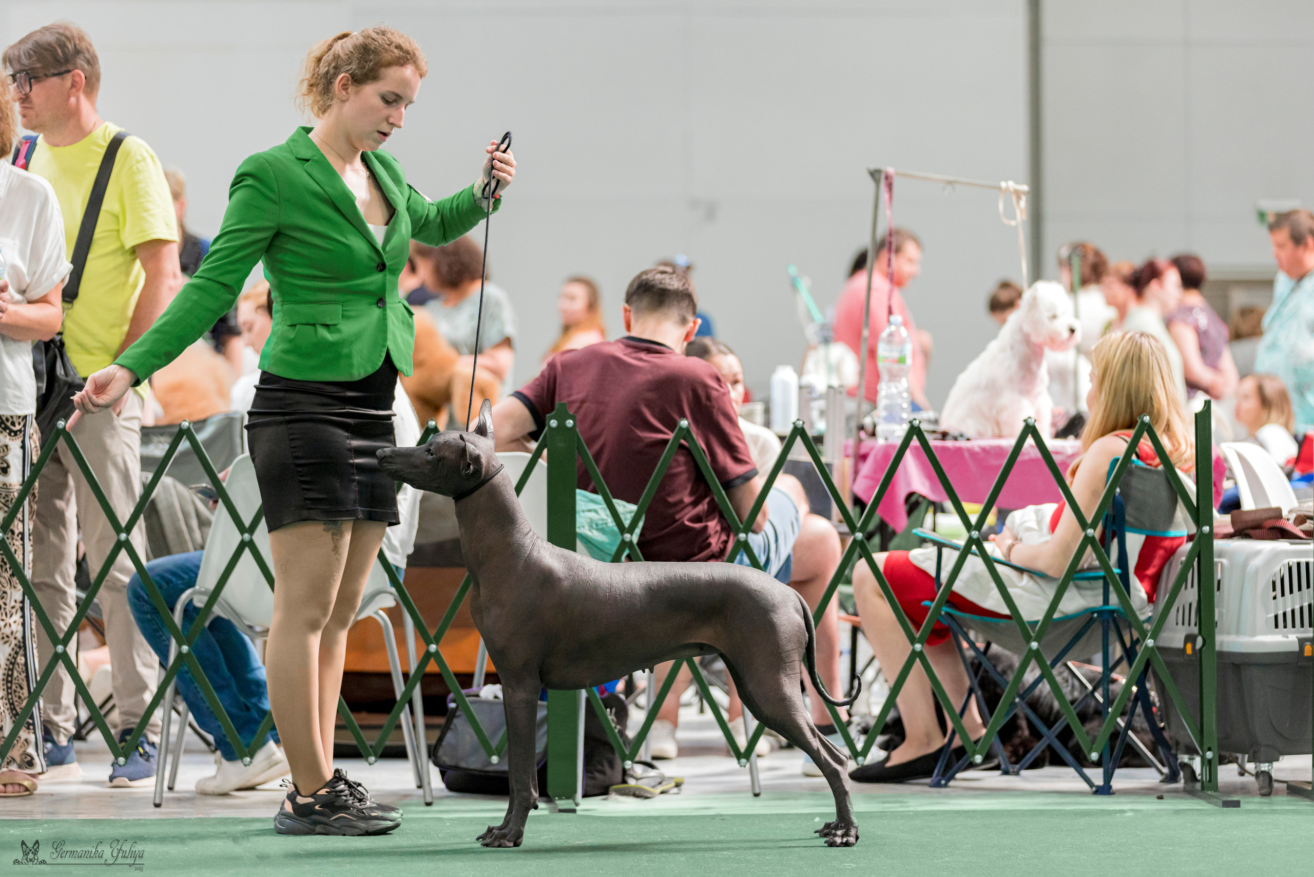 Крокус,Псков 5-6.08.2023. Фотограф-анималист Юлия Германика
