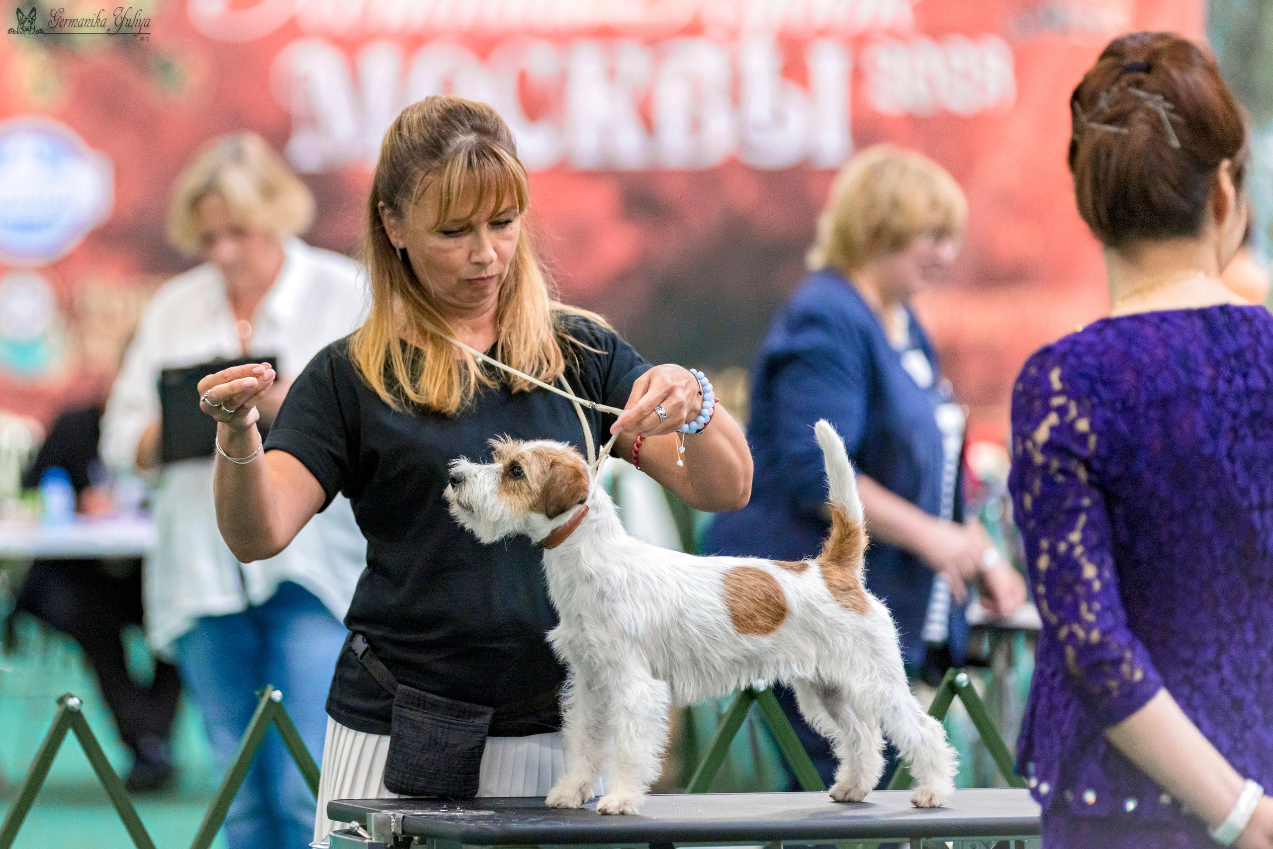 Крокус,Псков 5-6.08.2023. Фотограф-анималист Юлия Германика
