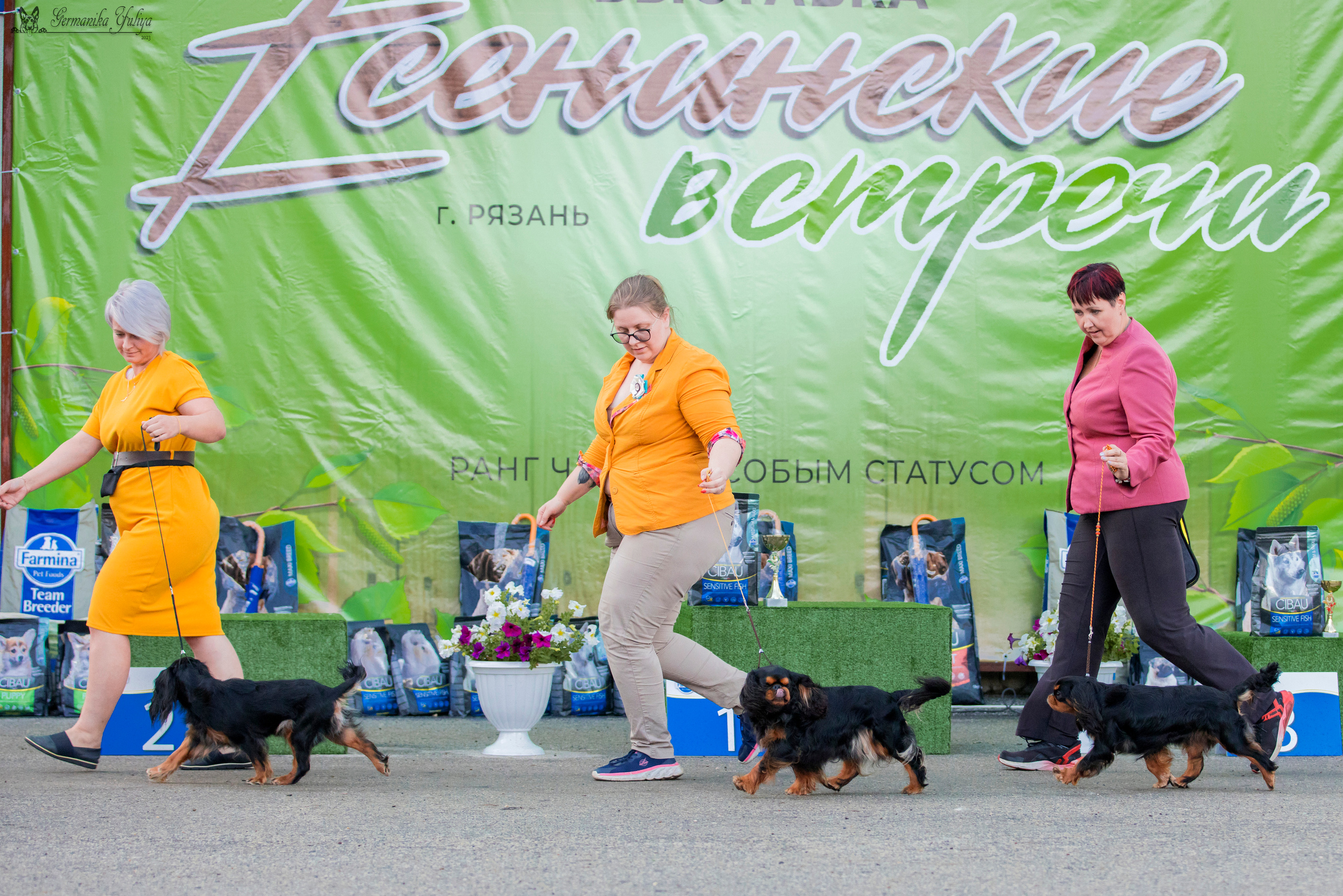 Рязань 12.08.и Пушкино 19.08.2023. Фотограф-анималист Юлия Германика