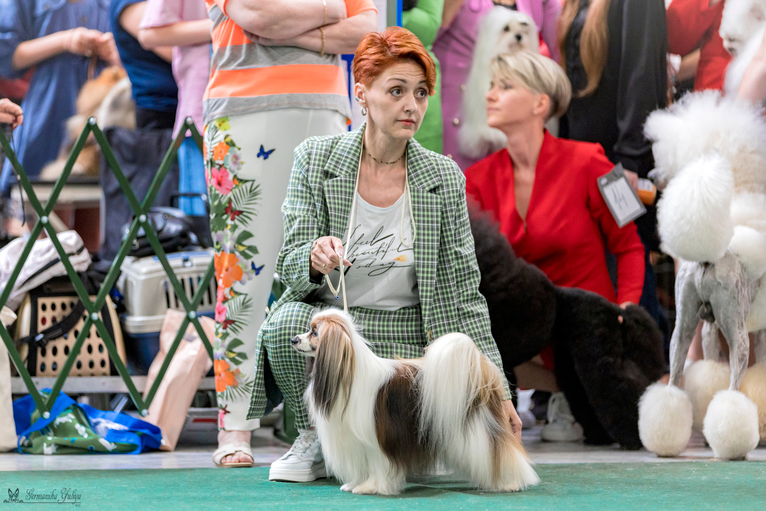 Крокус,Псков 5-6.08.2023. Фотограф-анималист Юлия Германика