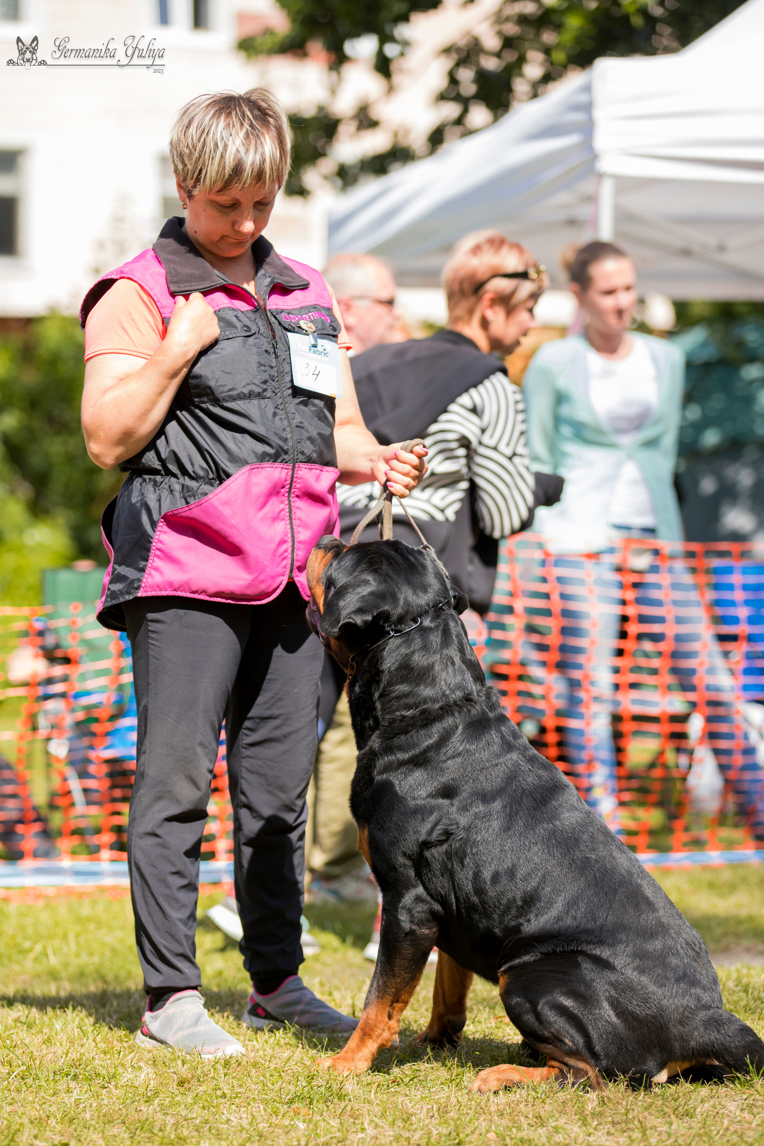 ПК и КЧК ротвейлеров Питер 22-23.07.2023. Фотограф-анималист Юлия Германика