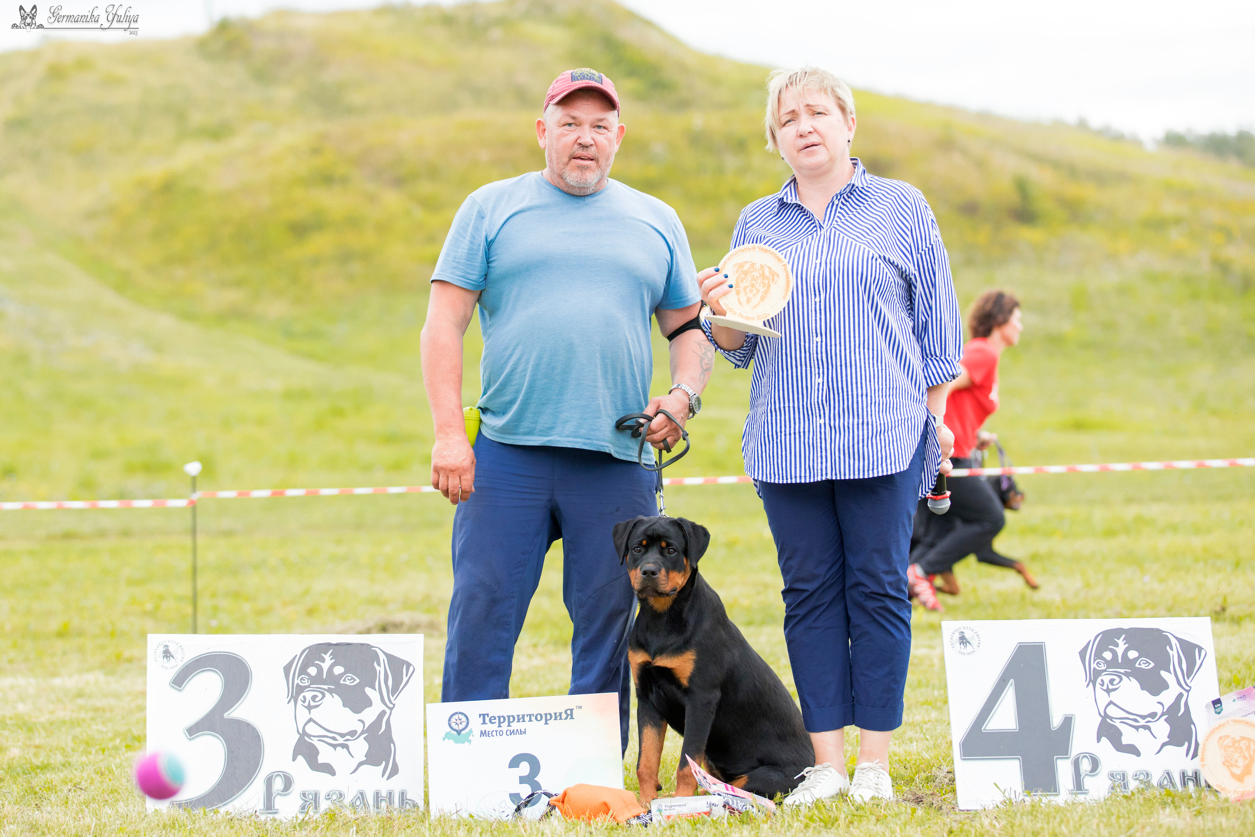 Рязань моно ротвейлеров 12.08.2023. Фотограф-анималист Юлия Германика