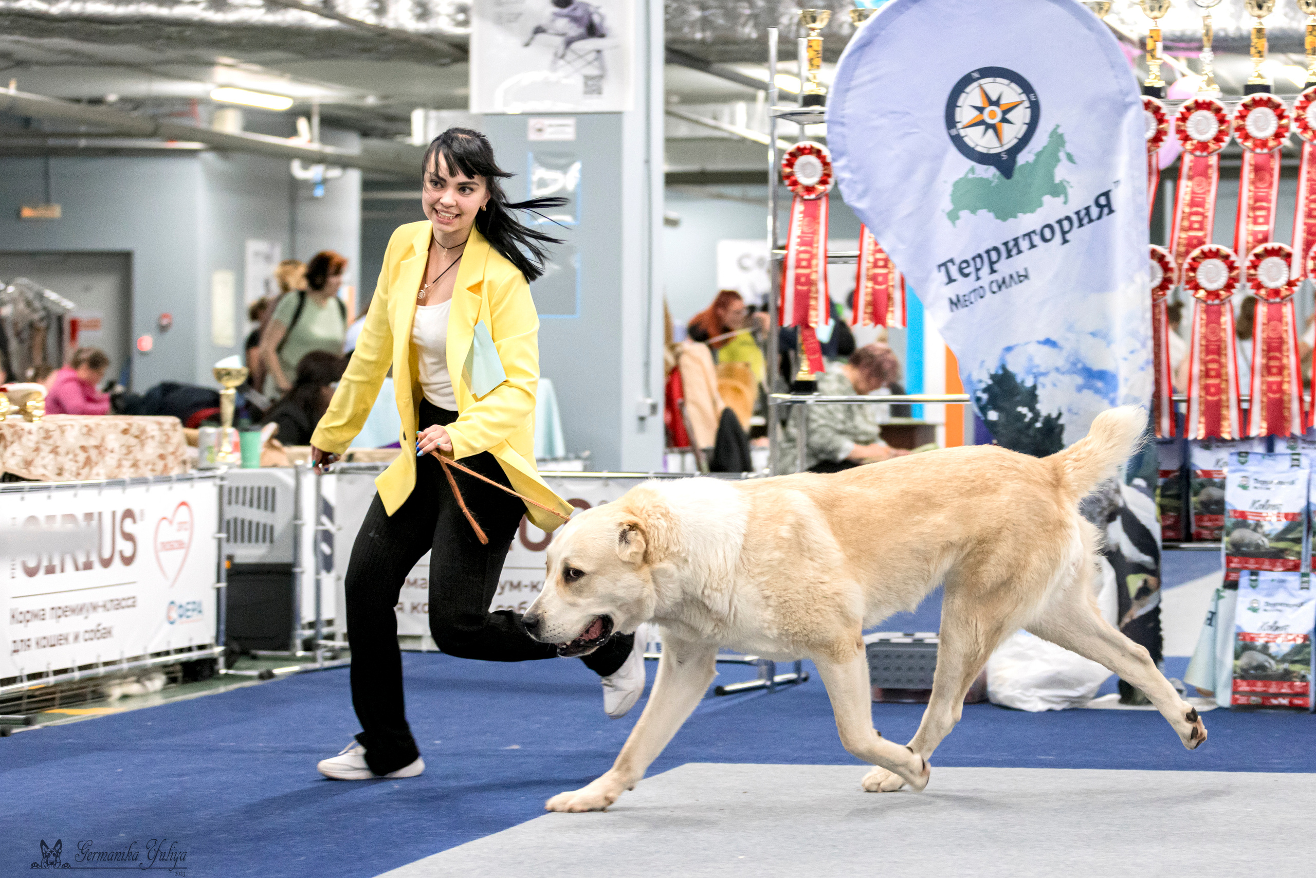 Сфера-Ховрино 29-30.07.2023. Фотограф-анималист Юлия Германика