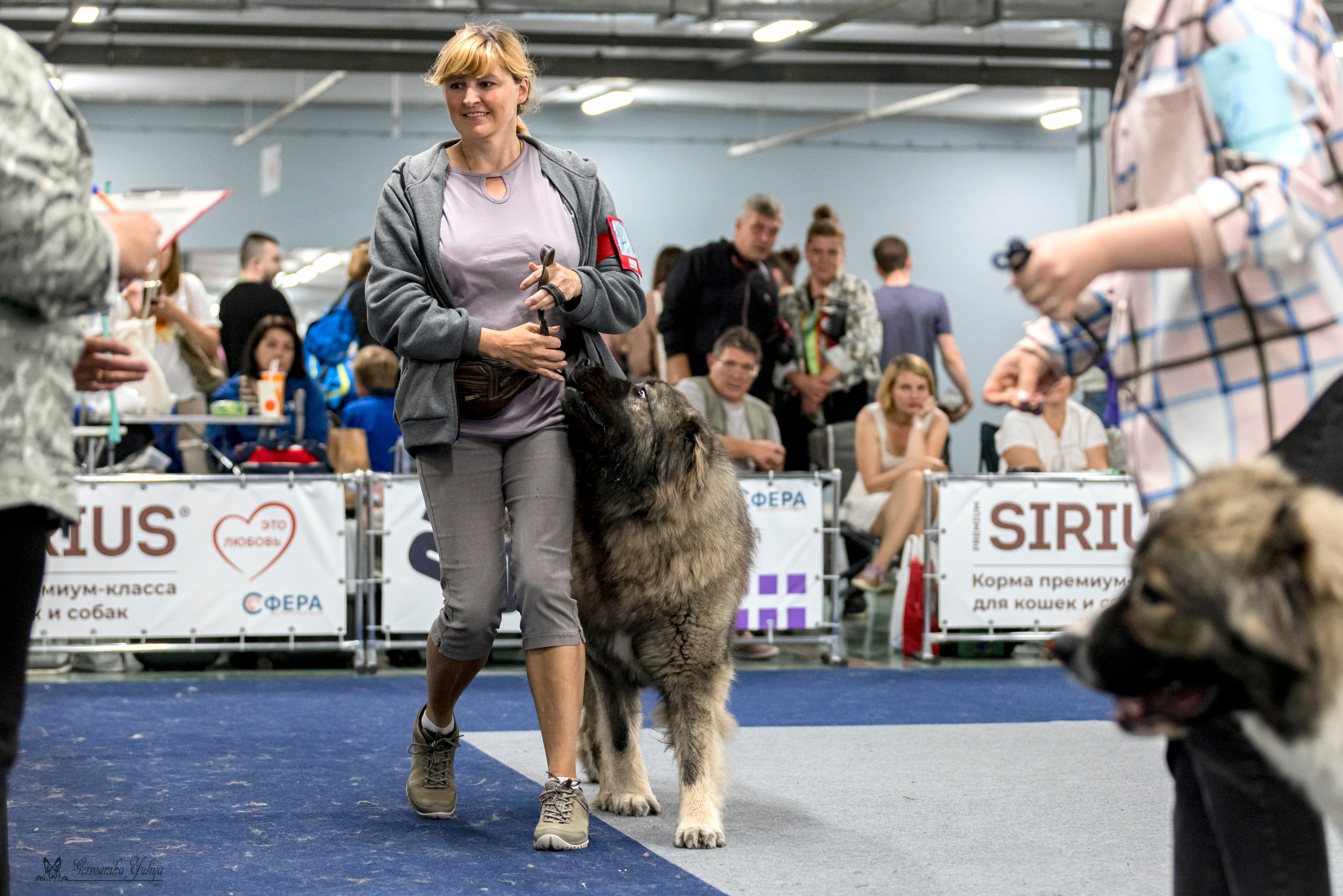 Сфера-Ховрино 29-30.07.2023. Фотограф-анималист Юлия Германика