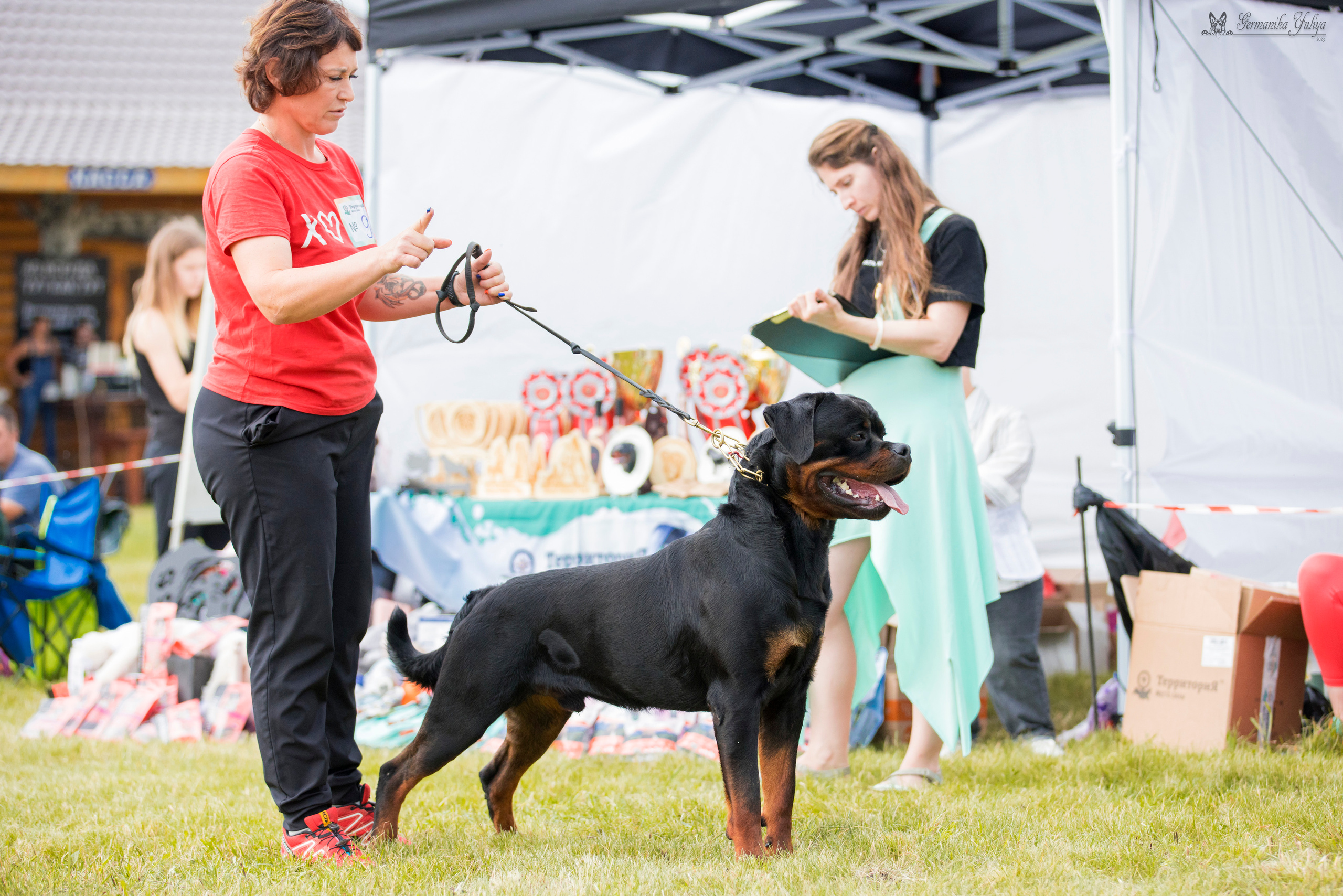Рязань моно ротвейлеров 12.08.2023. Фотограф-анималист Юлия Германика