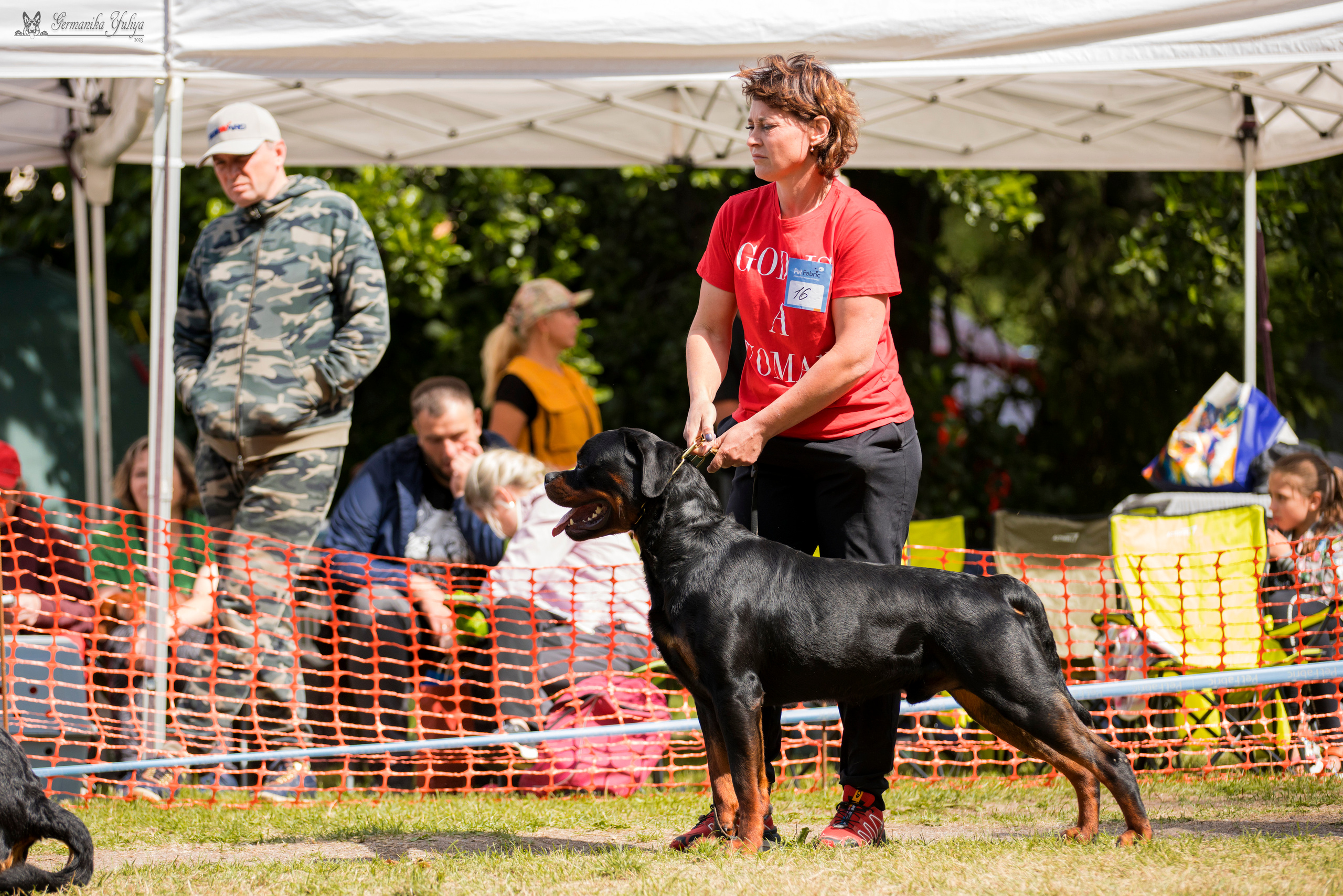 ПК и КЧК ротвейлеров Питер 22-23.07.2023. Фотограф-анималист Юлия Германика