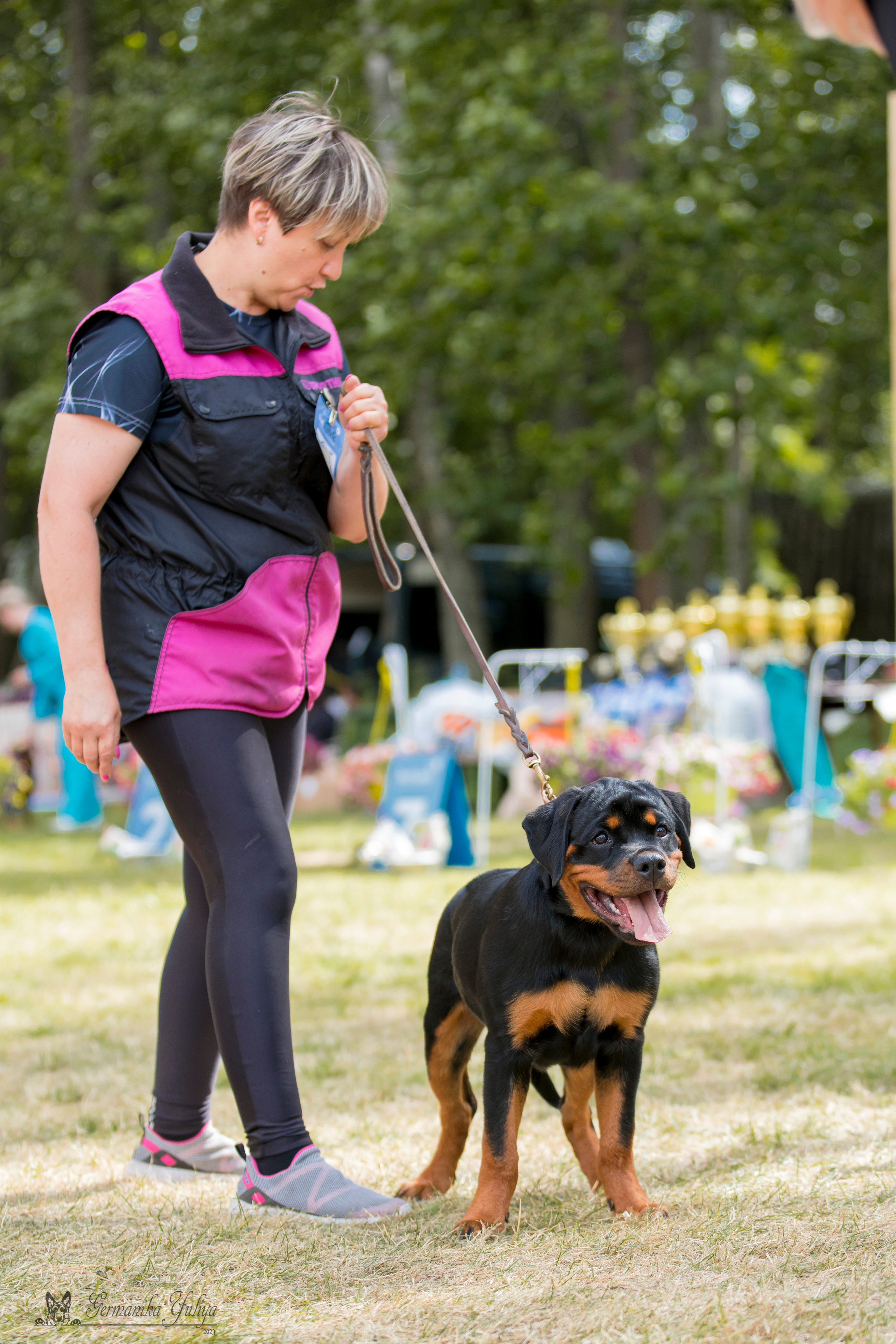 ПК и КЧК ротвейлеров Питер 22-23.07.2023. Фотограф-анималист Юлия Германика