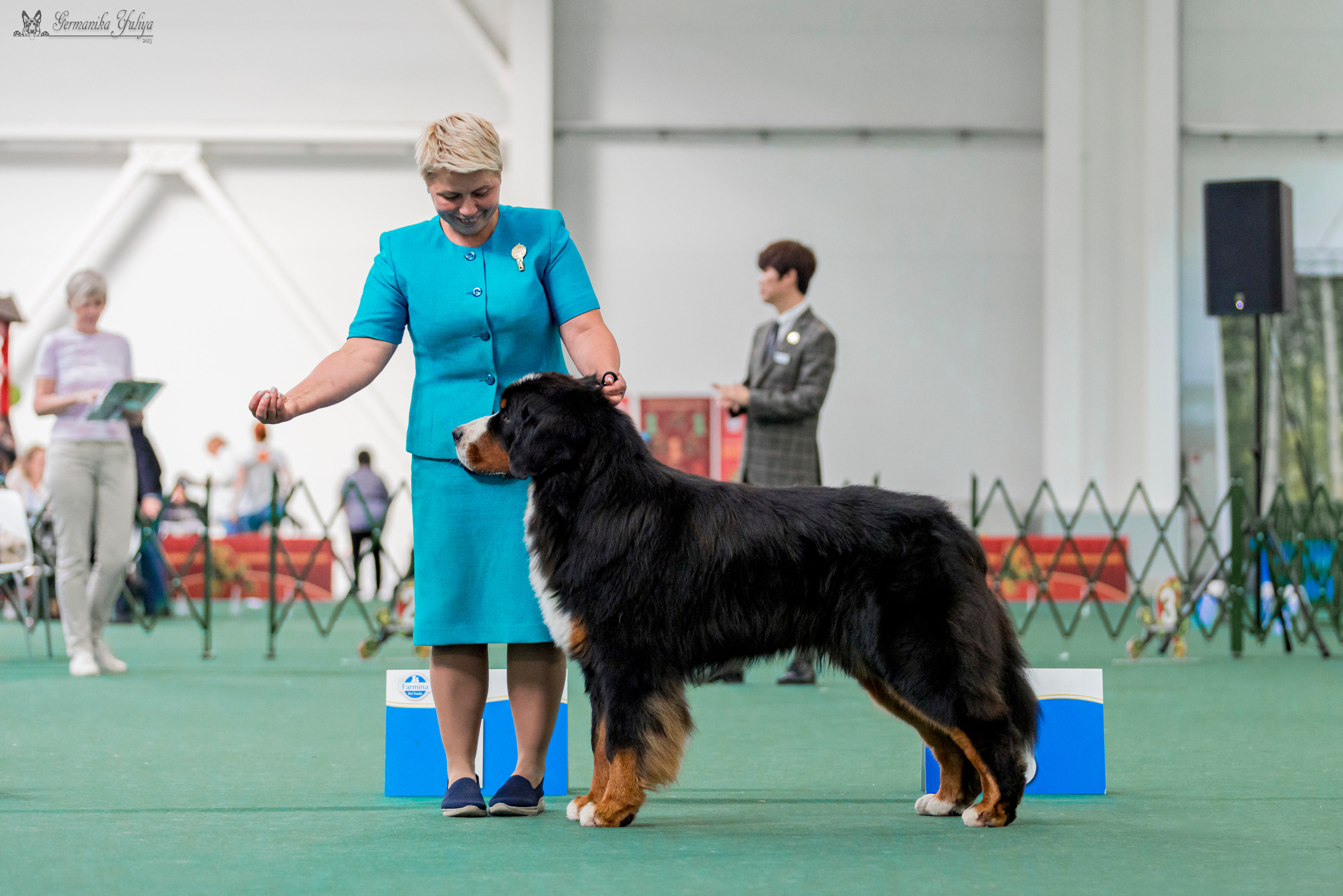 Крокус,Псков 5-6.08.2023. Фотограф-анималист Юлия Германика