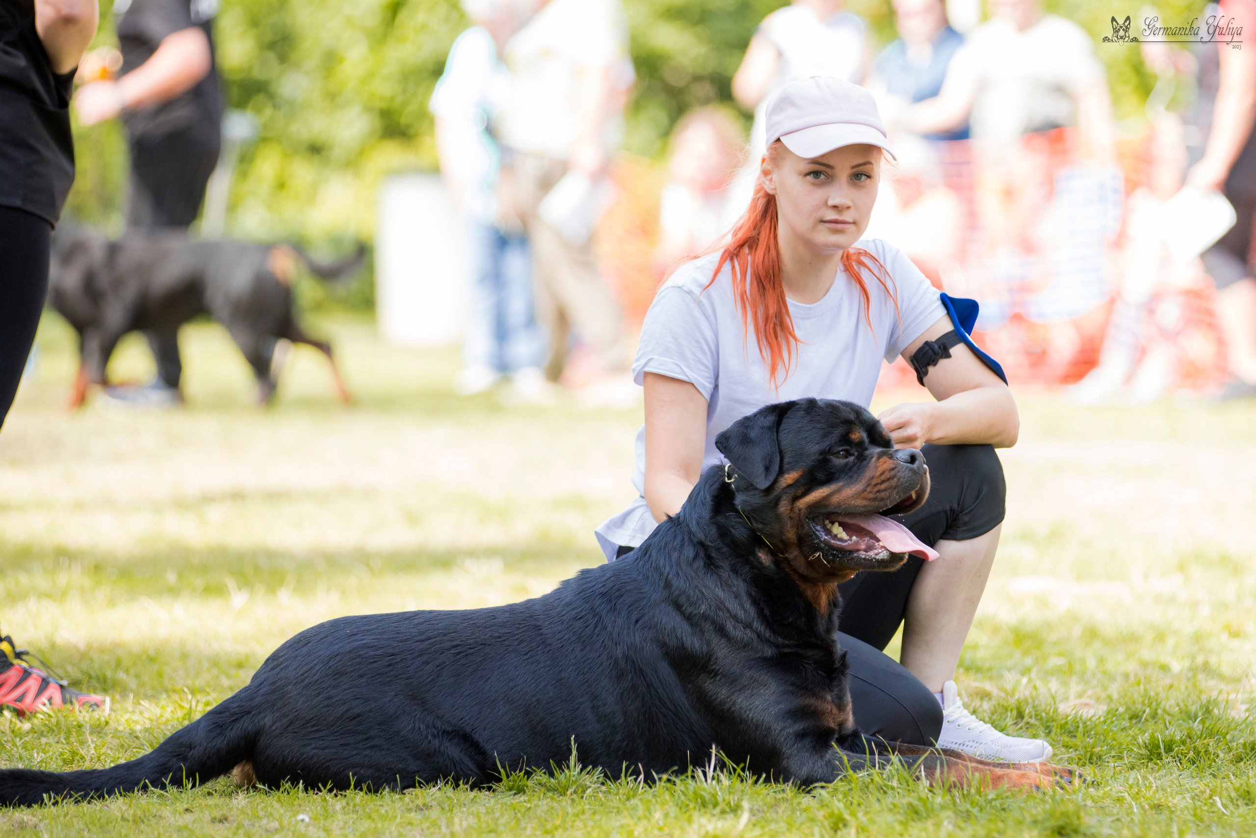 ПК и КЧК ротвейлеров Питер 22-23.07.2023. Фотограф-анималист Юлия Германика
