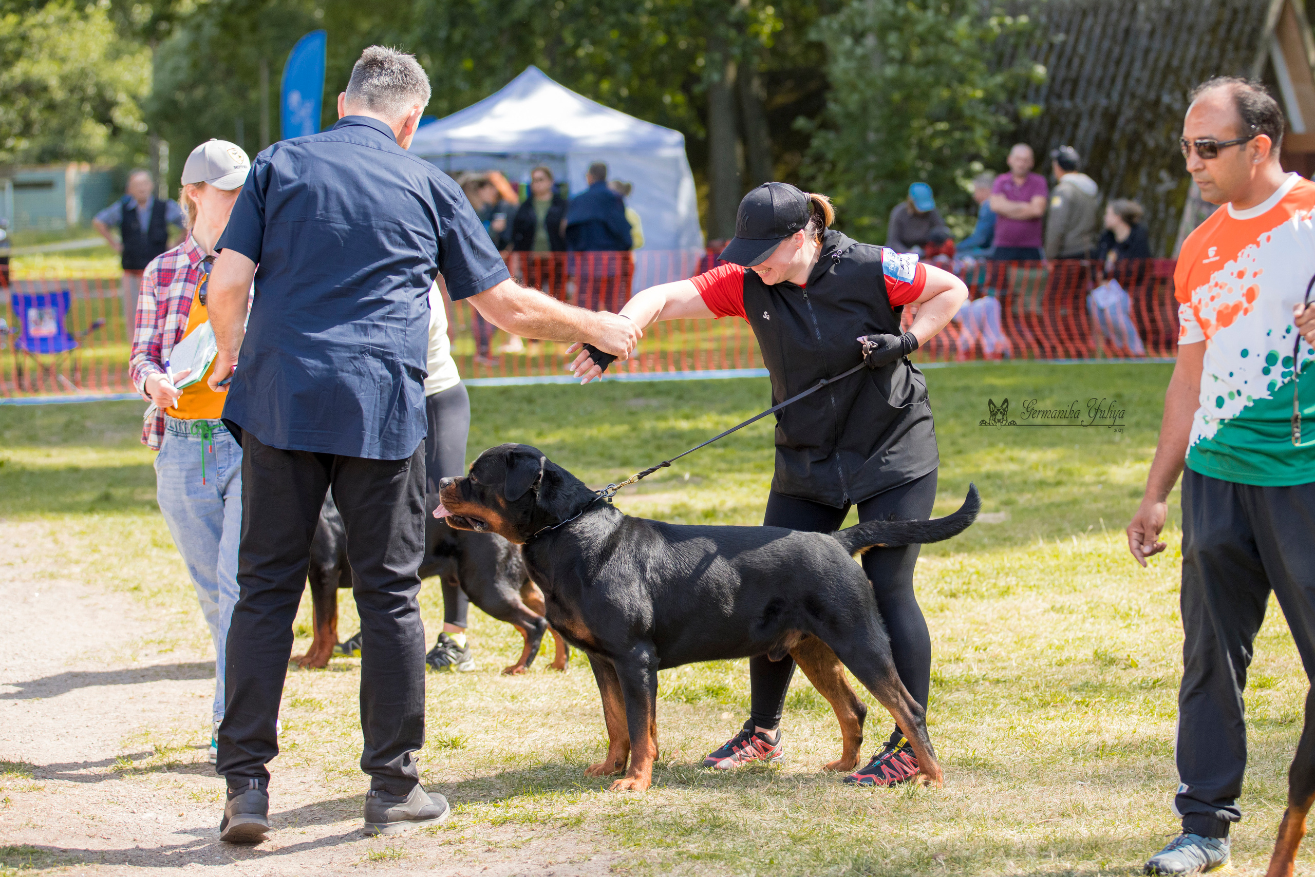 ПК и КЧК ротвейлеров Питер 22-23.07.2023. Фотограф-анималист Юлия Германика