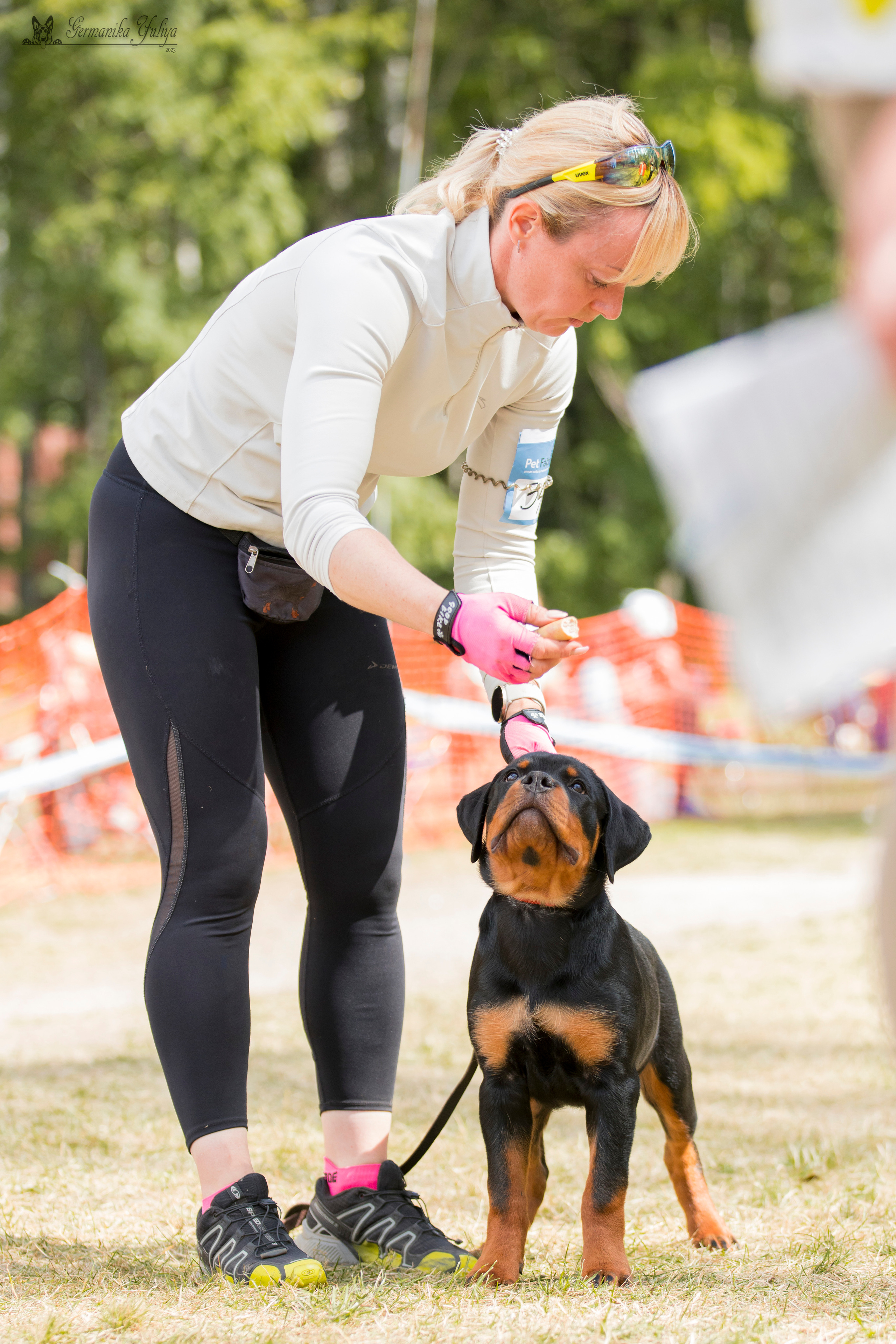 ПК и КЧК ротвейлеров Питер 22-23.07.2023. Фотограф-анималист Юлия Германика
