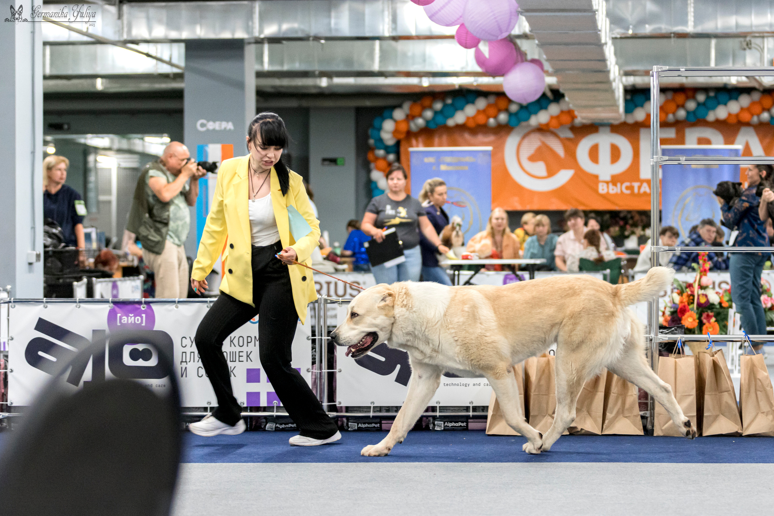 Сфера-Ховрино 29-30.07.2023. Фотограф-анималист Юлия Германика