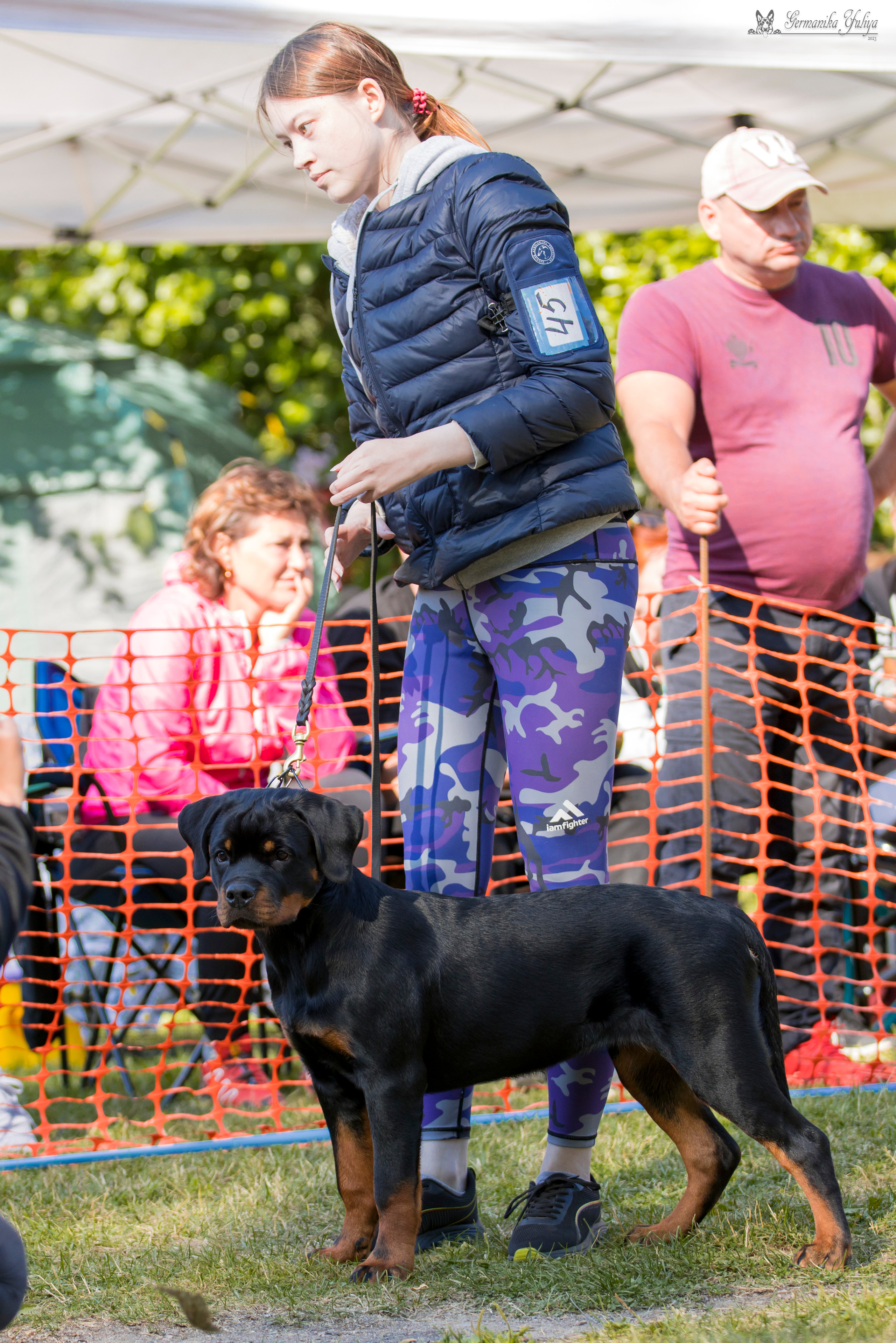 ПК и КЧК ротвейлеров Питер 22-23.07.2023. Фотограф-анималист Юлия Германика