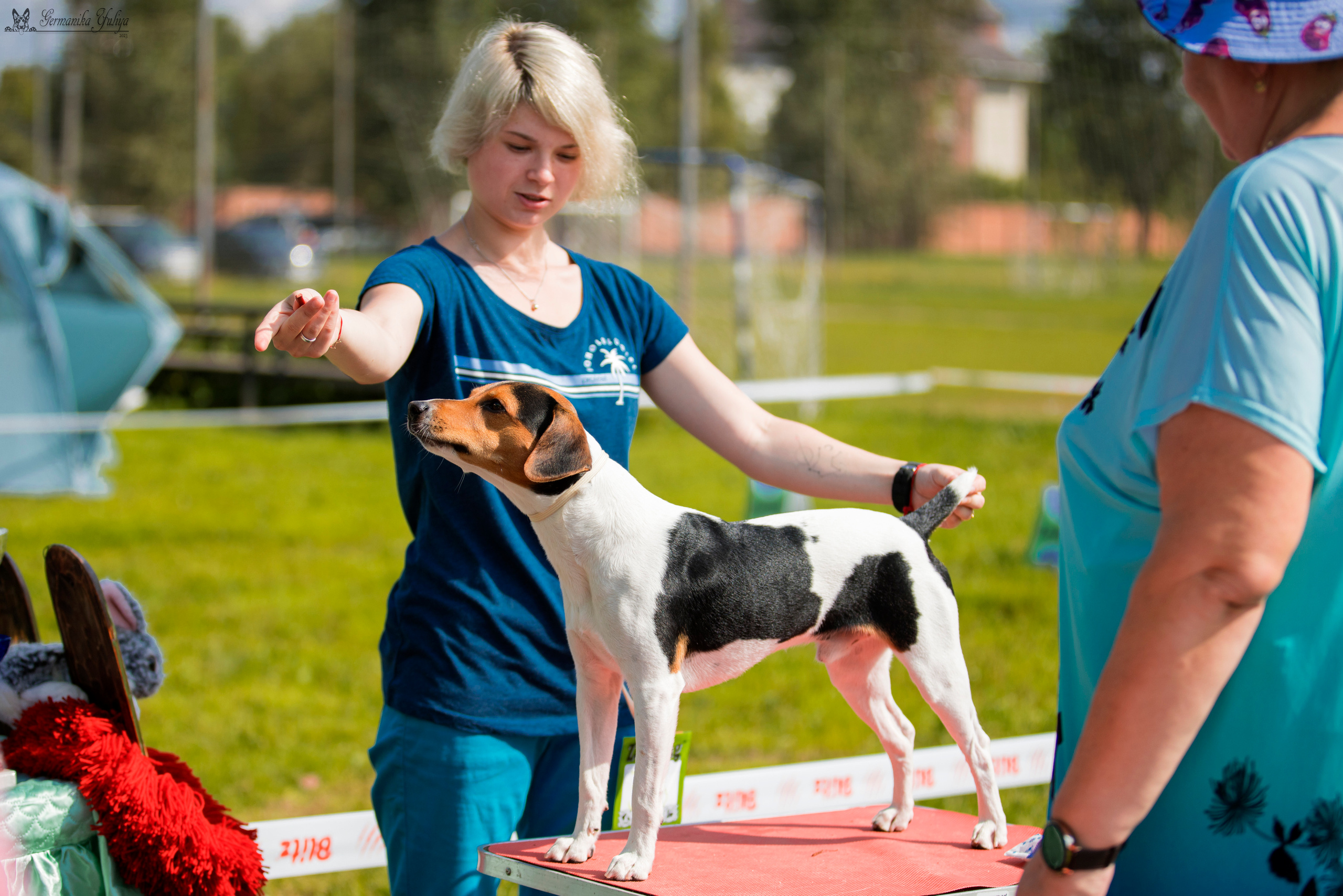 Рязань 12.08.и Пушкино 19.08.2023. Фотограф-анималист Юлия Германика