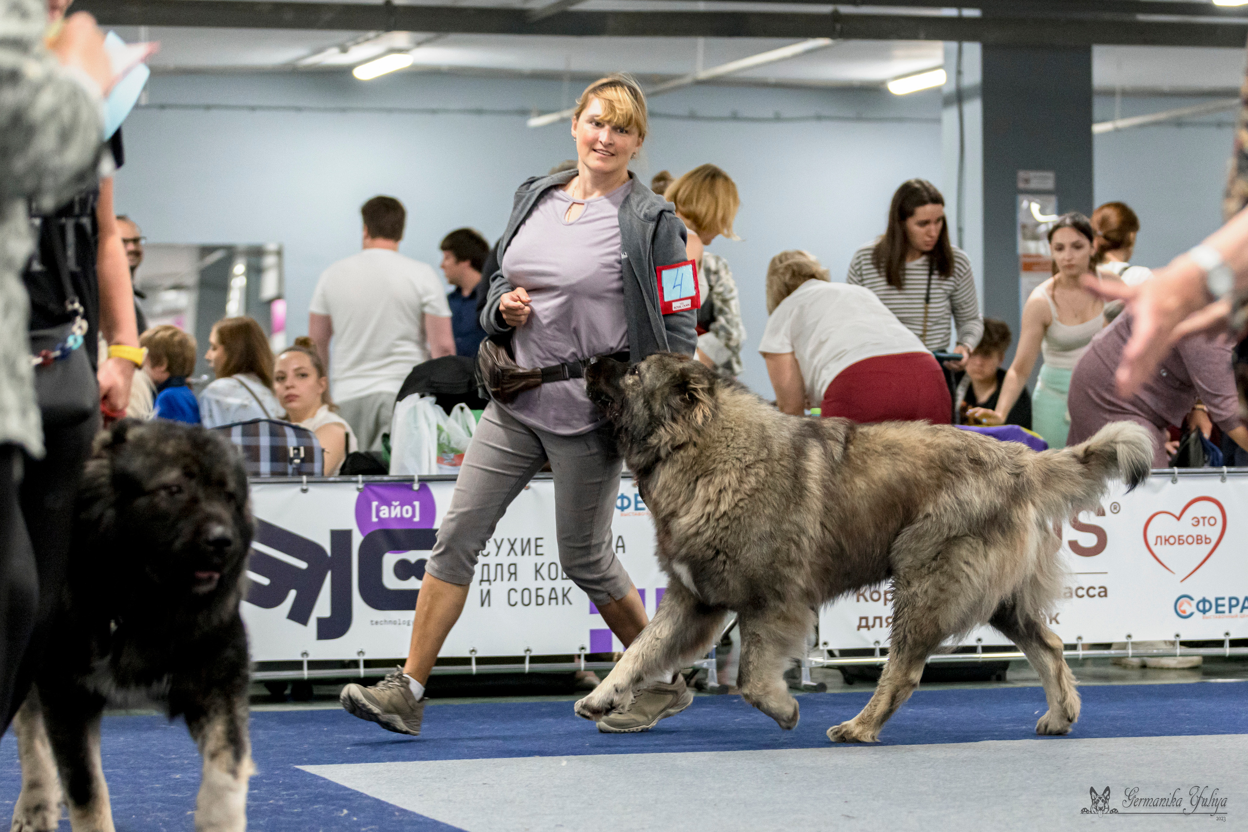 Сфера-Ховрино 29-30.07.2023. Фотограф-анималист Юлия Германика