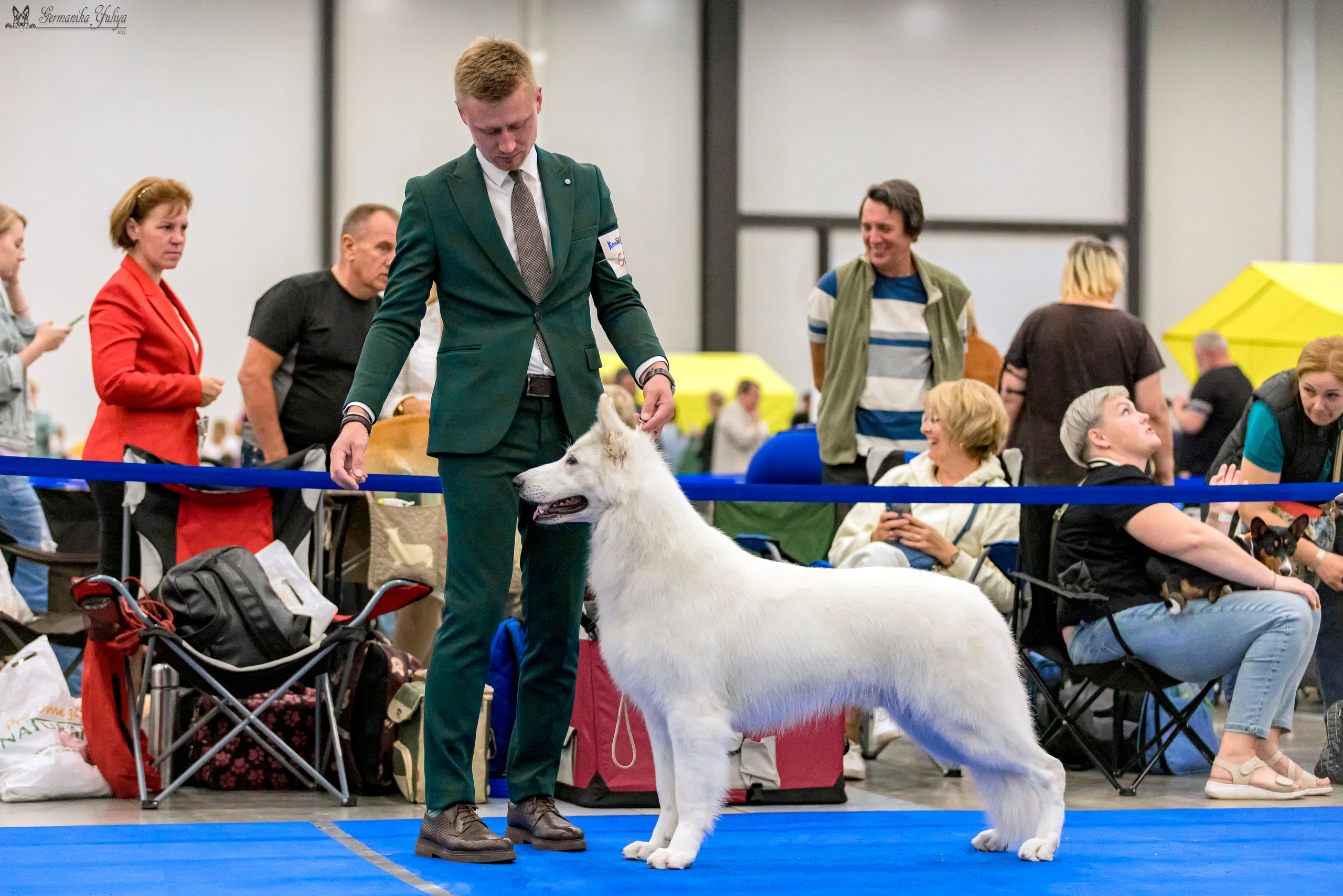 Питер 2-3.09.2023. Фотограф-анималист Юлия Германика