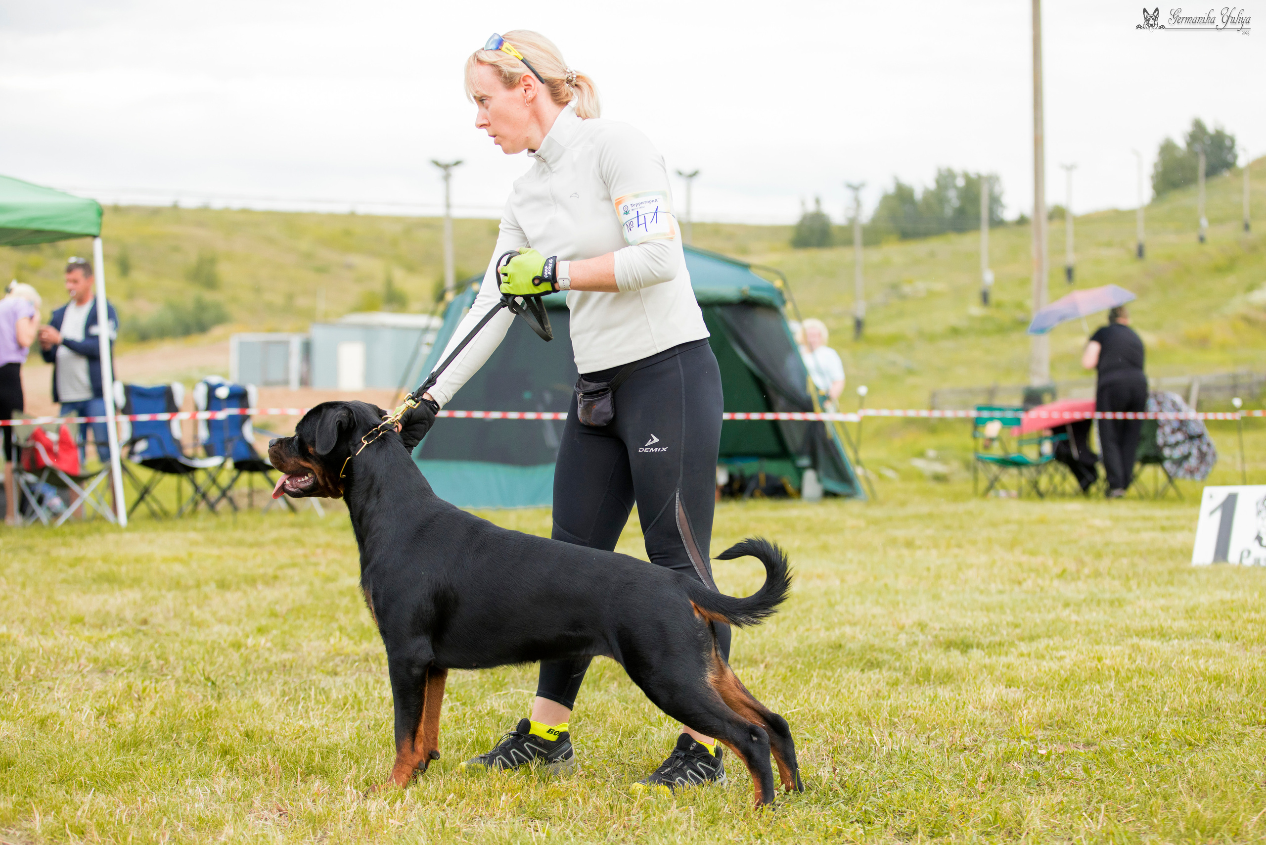 Рязань моно ротвейлеров 12.08.2023. Фотограф-анималист Юлия Германика