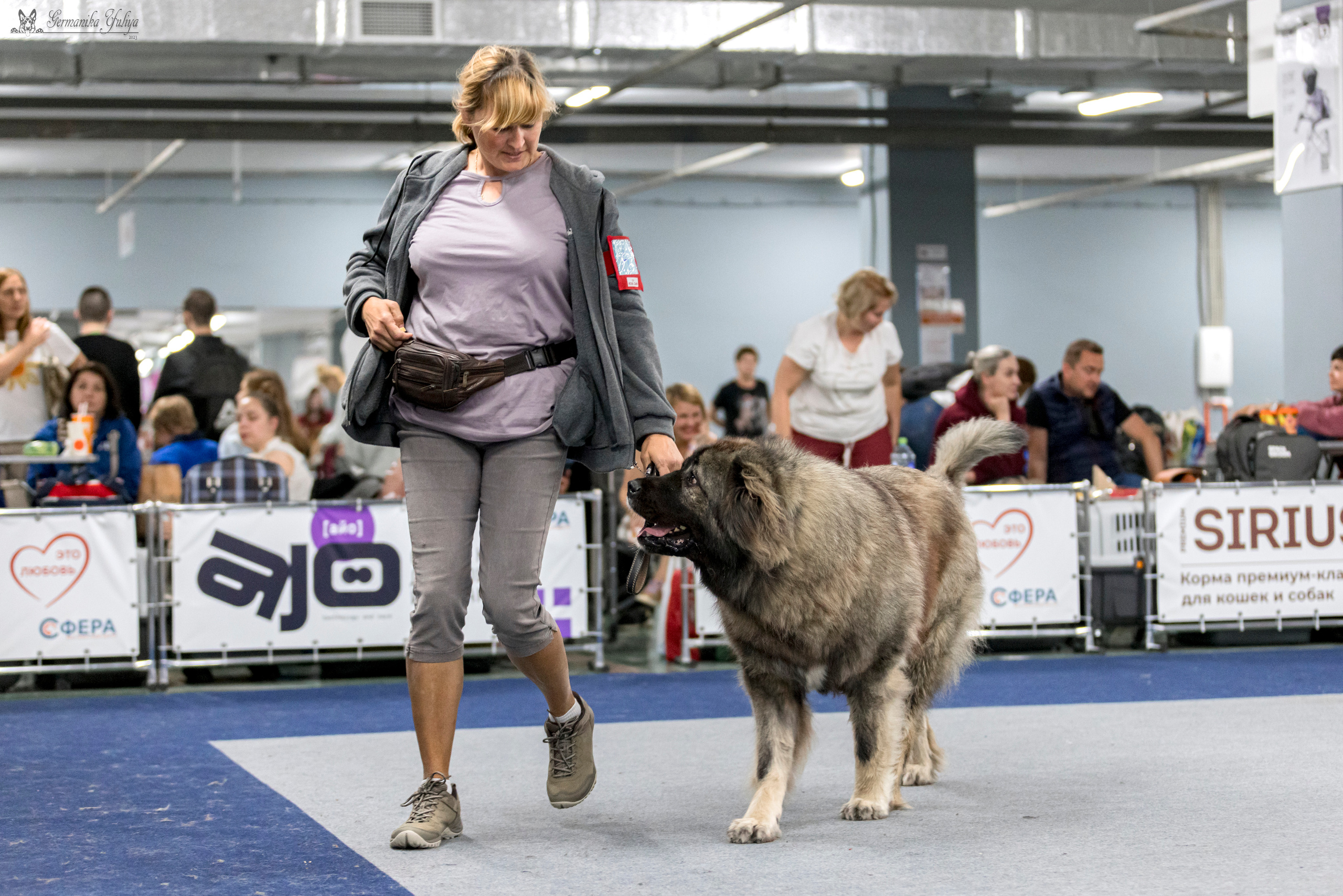 Сфера-Ховрино 29-30.07.2023. Фотограф-анималист Юлия Германика