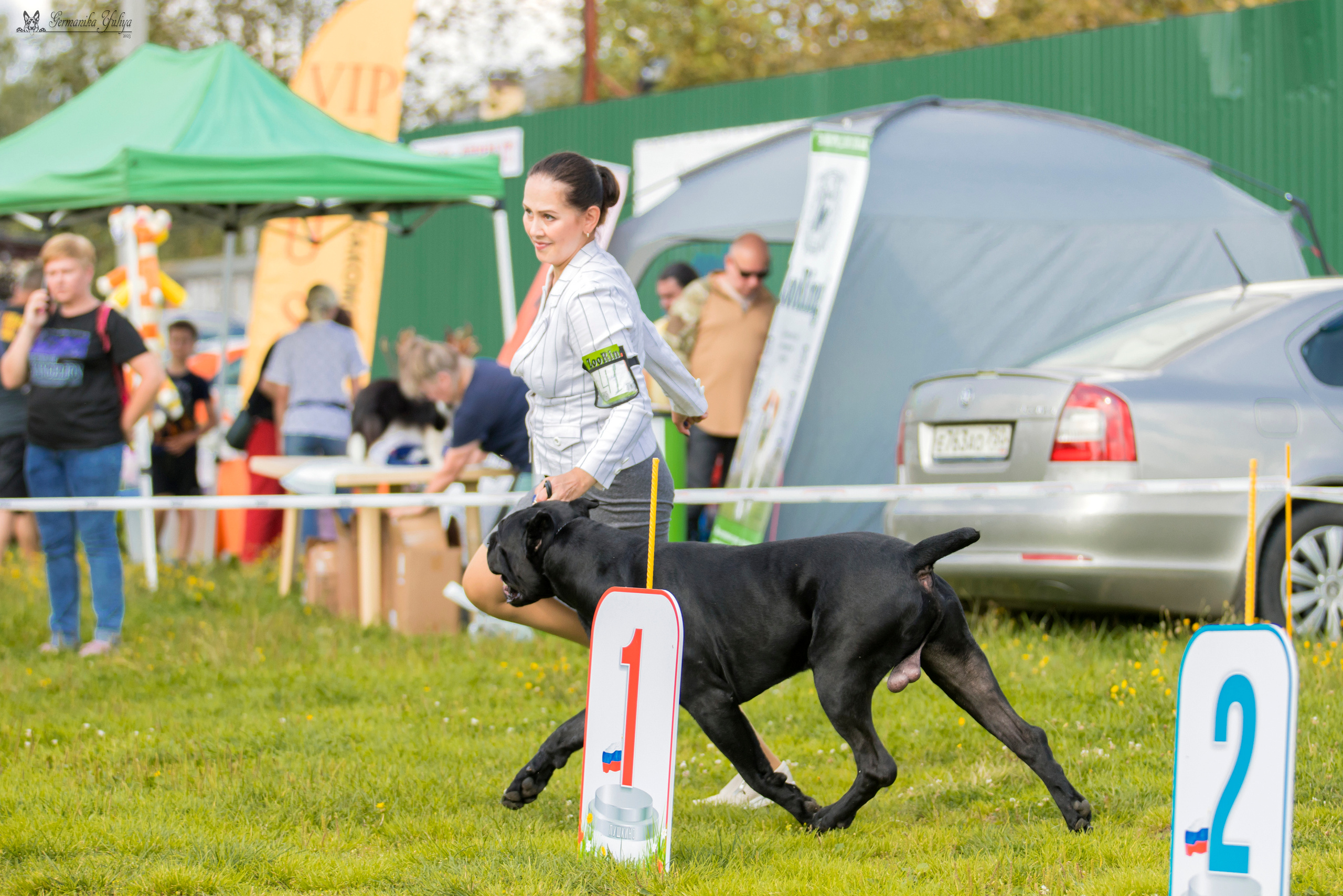 Рязань 12.08.и Пушкино 19.08.2023. Фотограф-анималист Юлия Германика